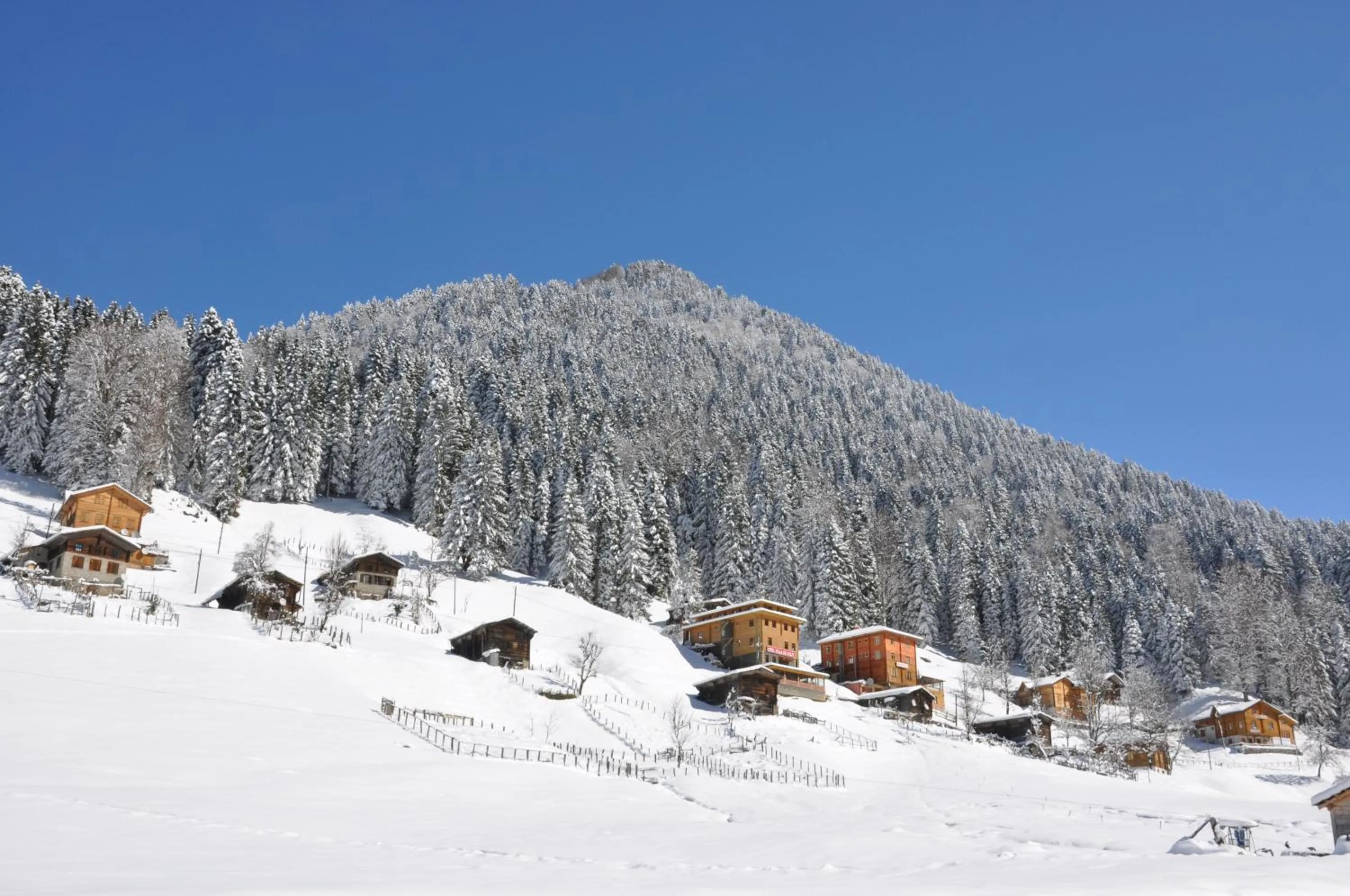 Other in Ayder Hasimoglu Hotel