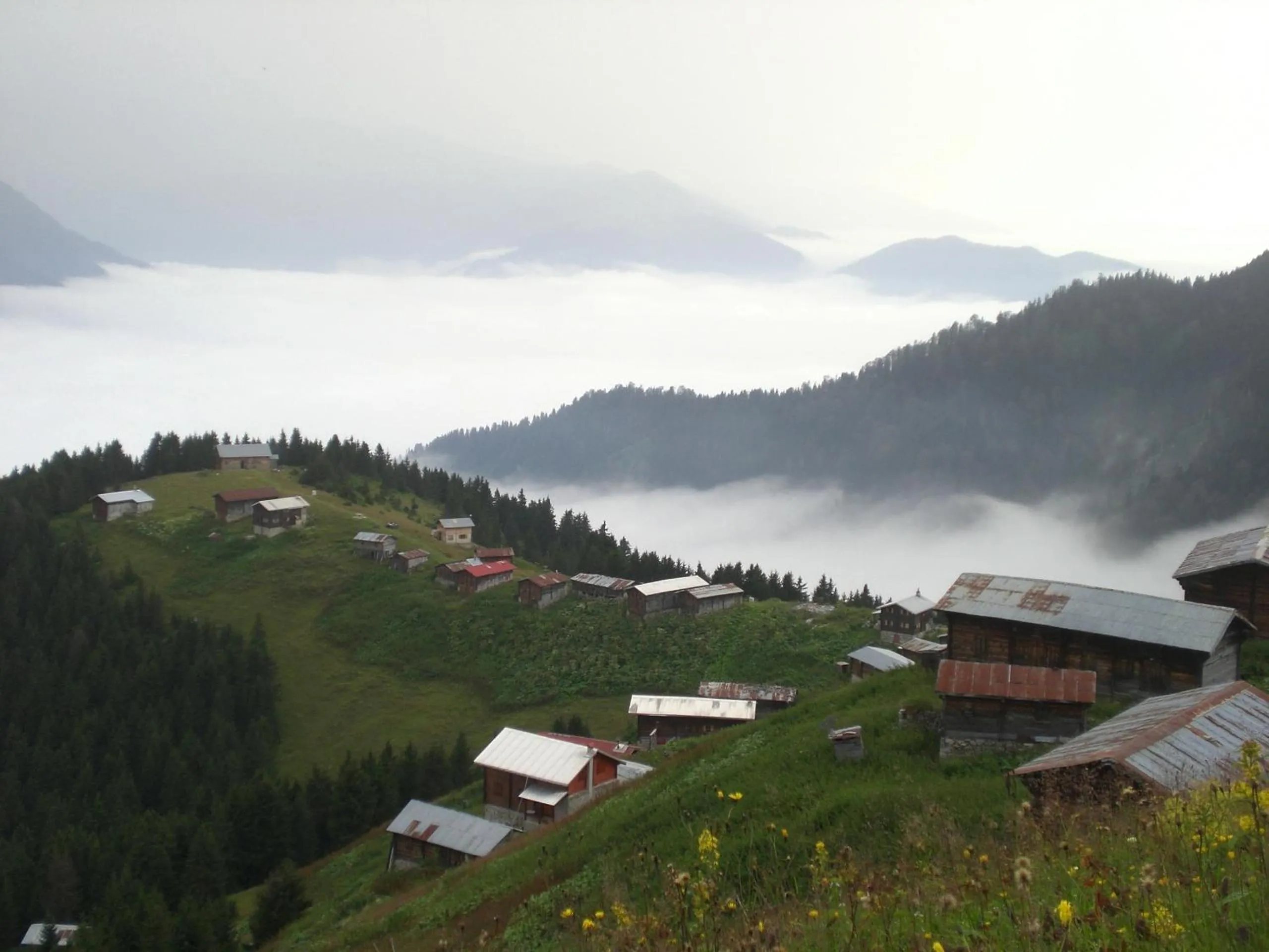 View (from property/room) in Ayder Hasimoglu Hotel