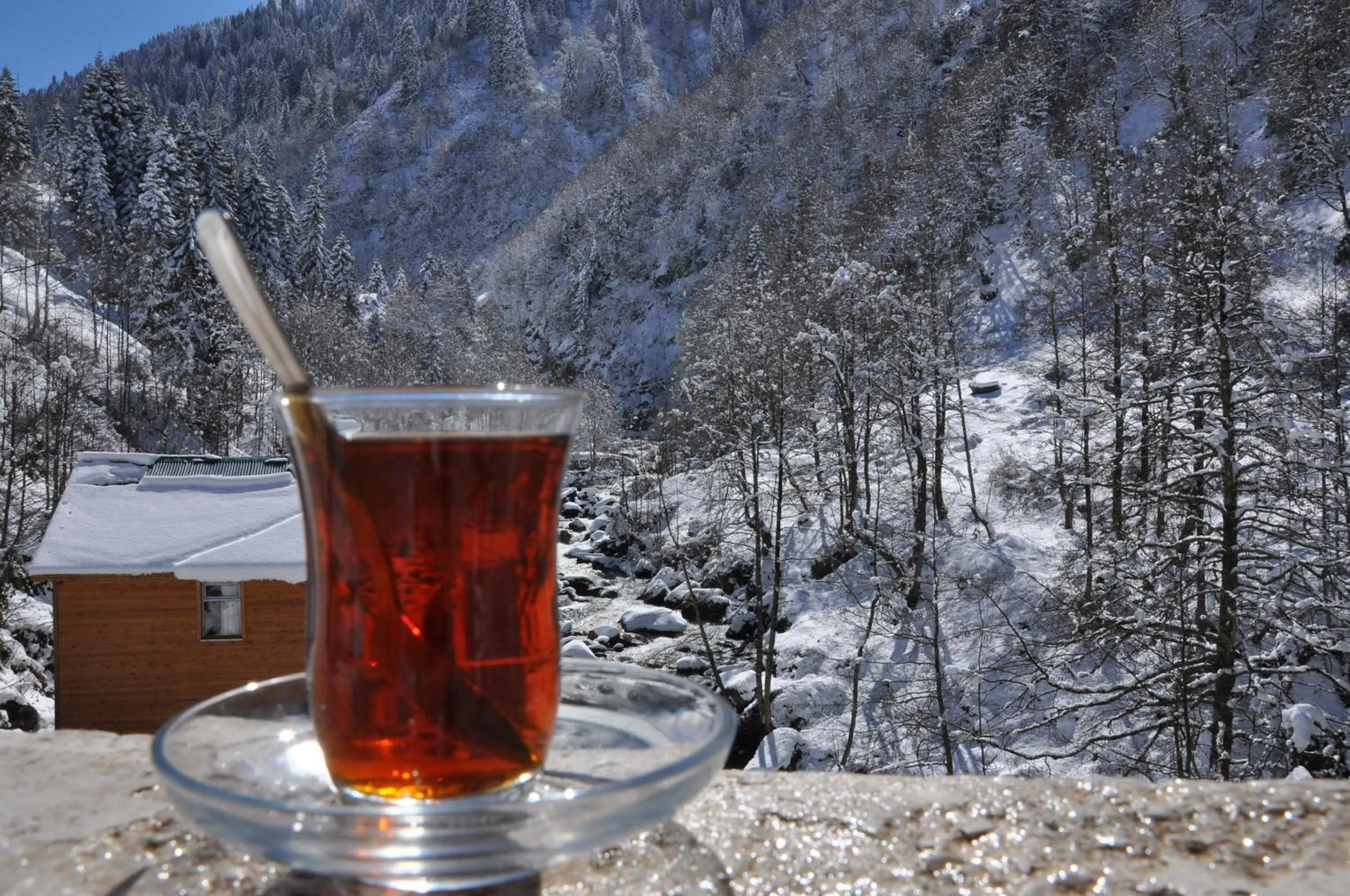 Balcony/Terrace in Ayder Hasimoglu Hotel