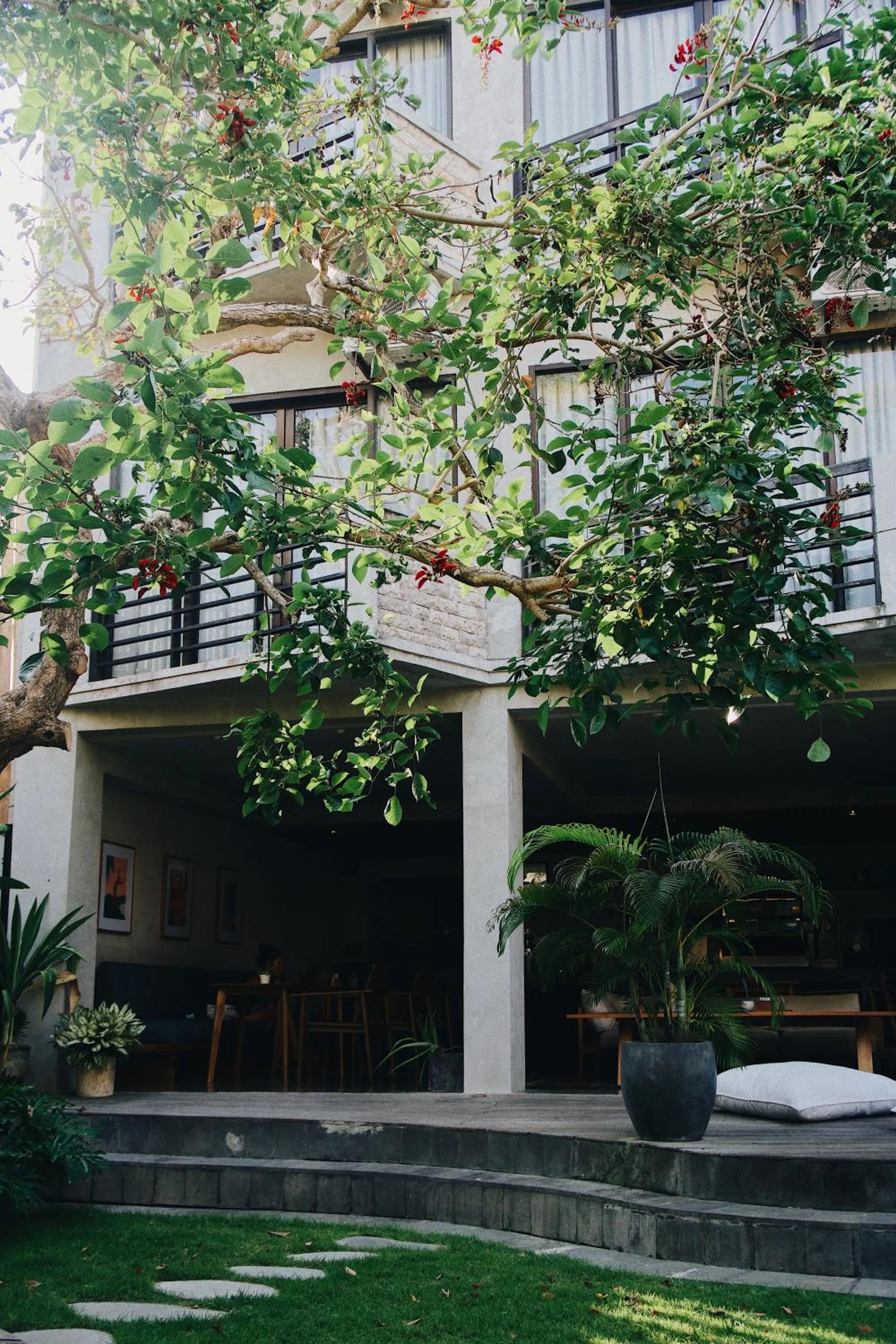 Property building in Surf Motel