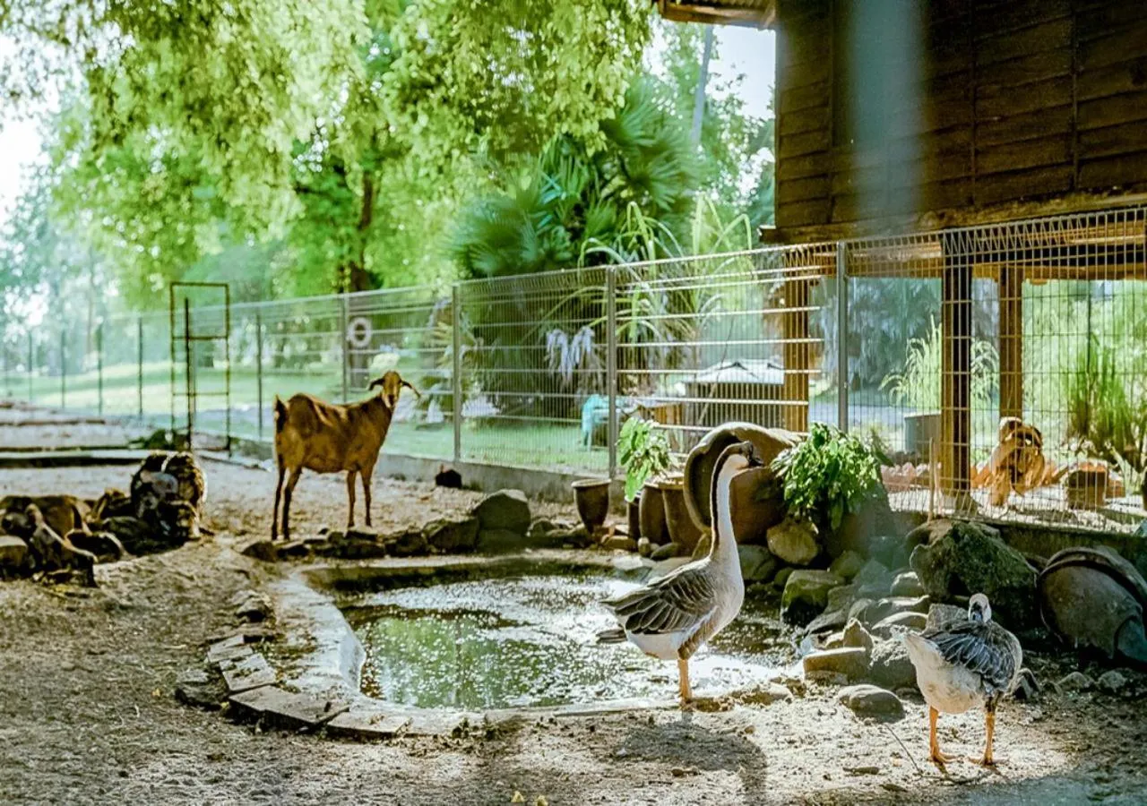 Activities in Pelangi Beach Resort & Spa, Langkawi