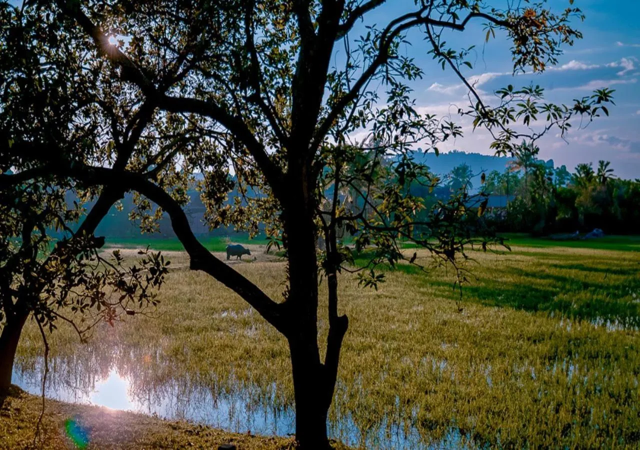 Neighbourhood in Pelangi Beach Resort & Spa, Langkawi