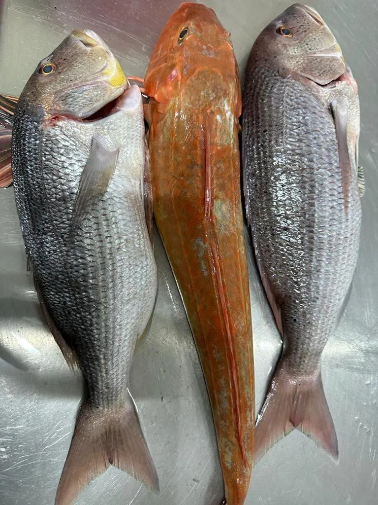 "Frogs House" Hotel & Restorant Slow Food