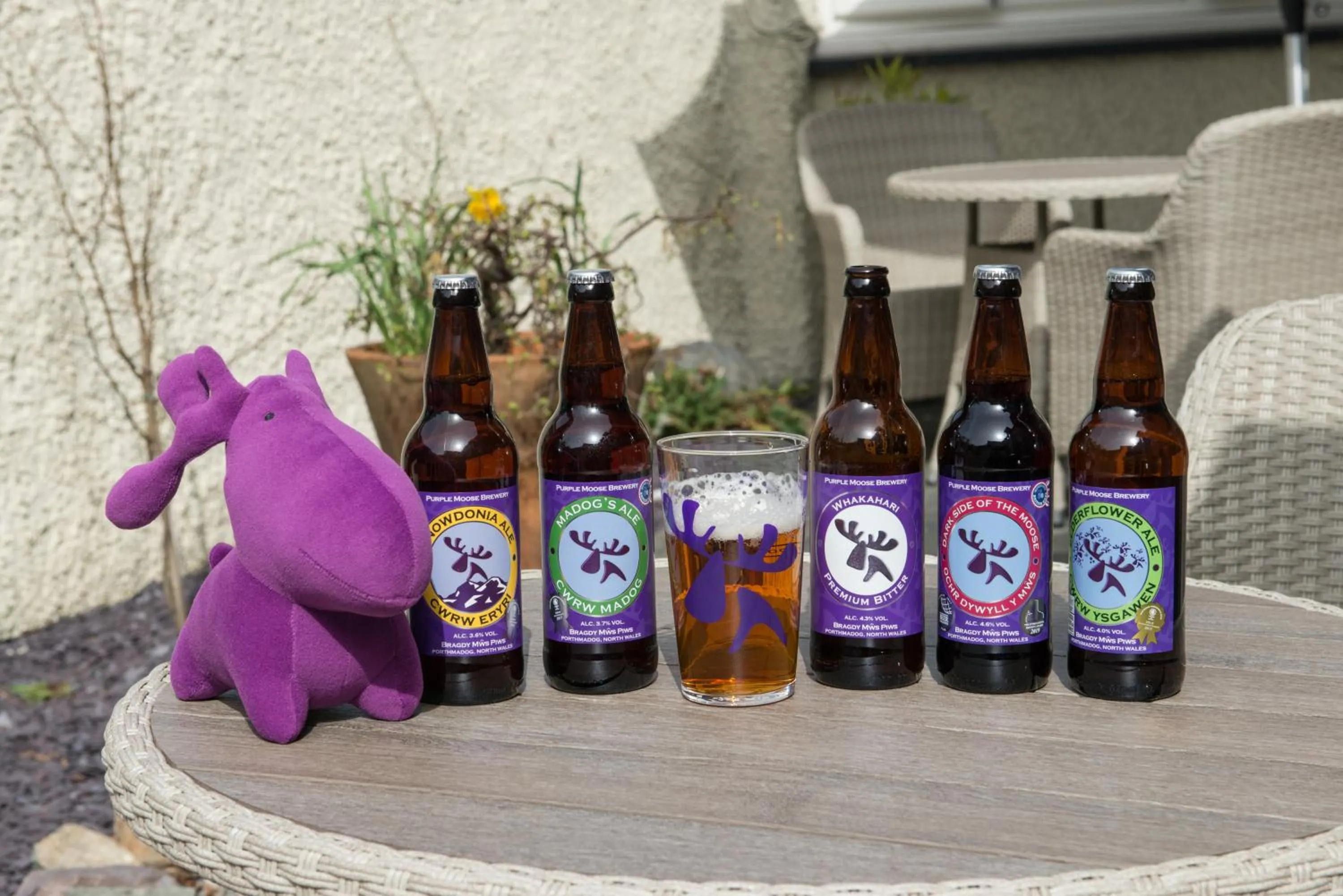 Drinks in Tudor Lodge