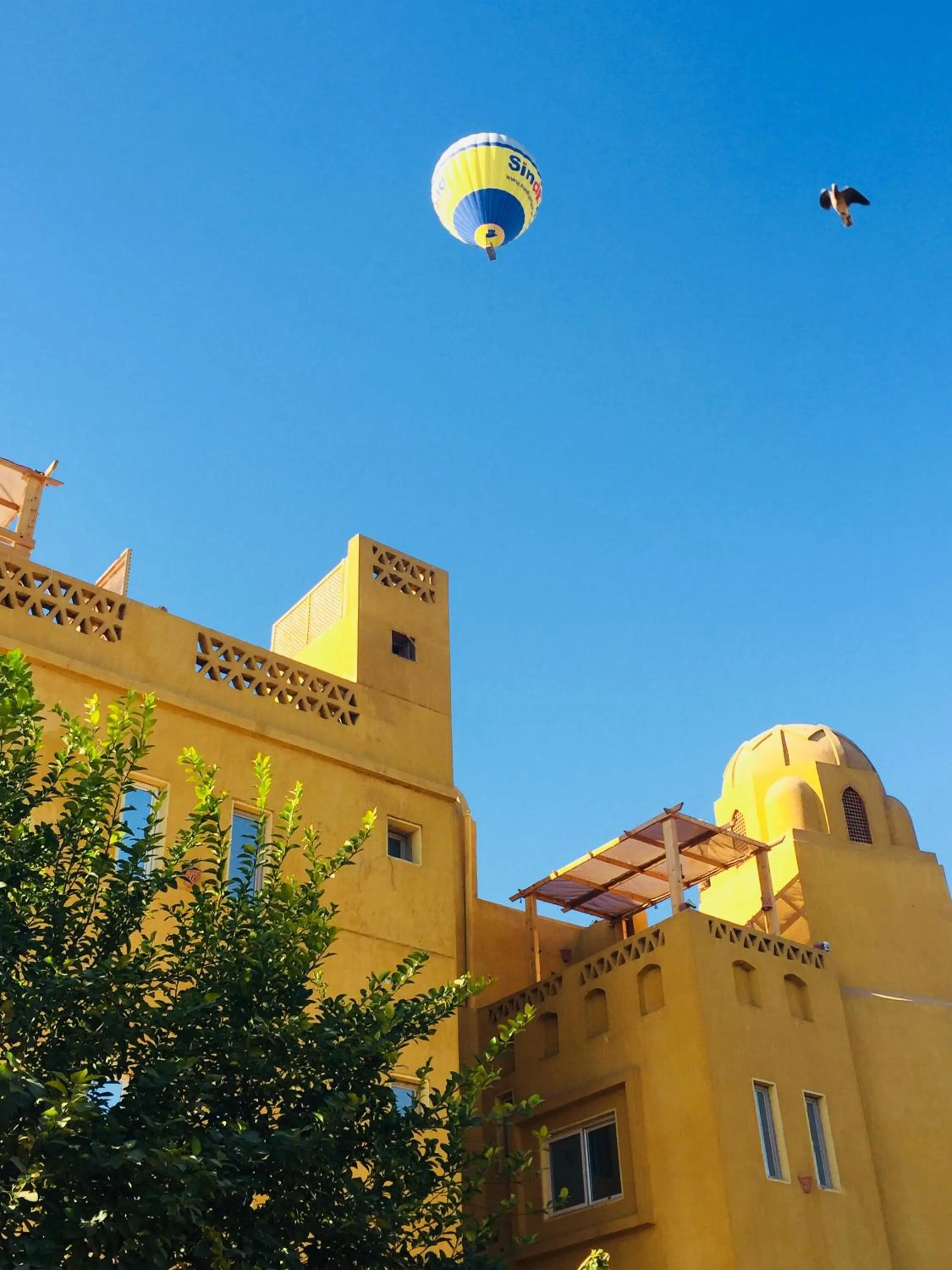View (from property/room) in Jewel Howard Carter Hotel
