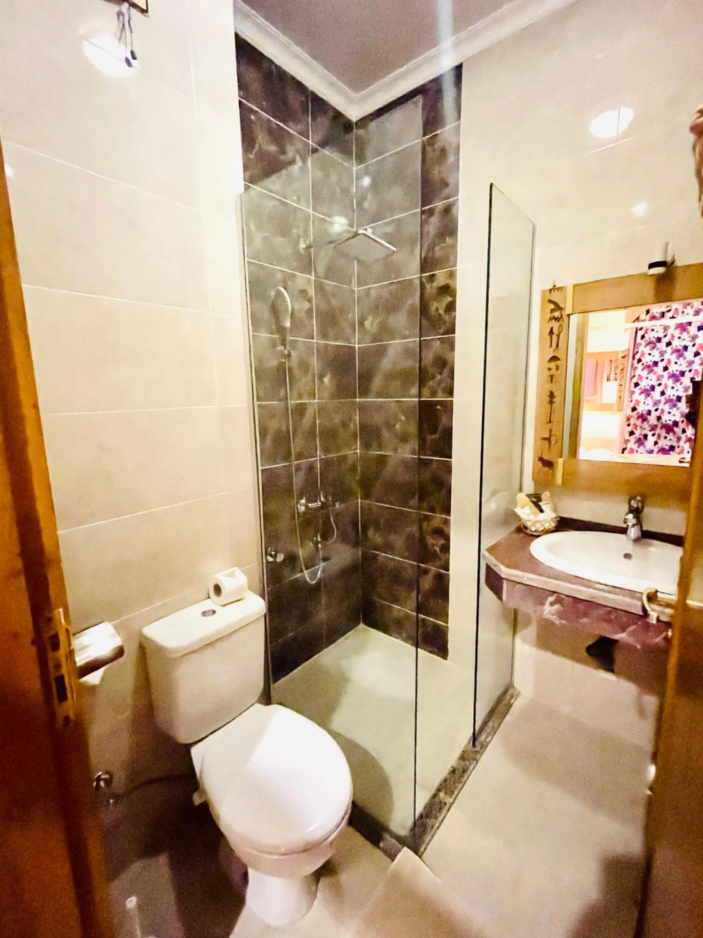 Shower in Jewel Howard Carter Hotel