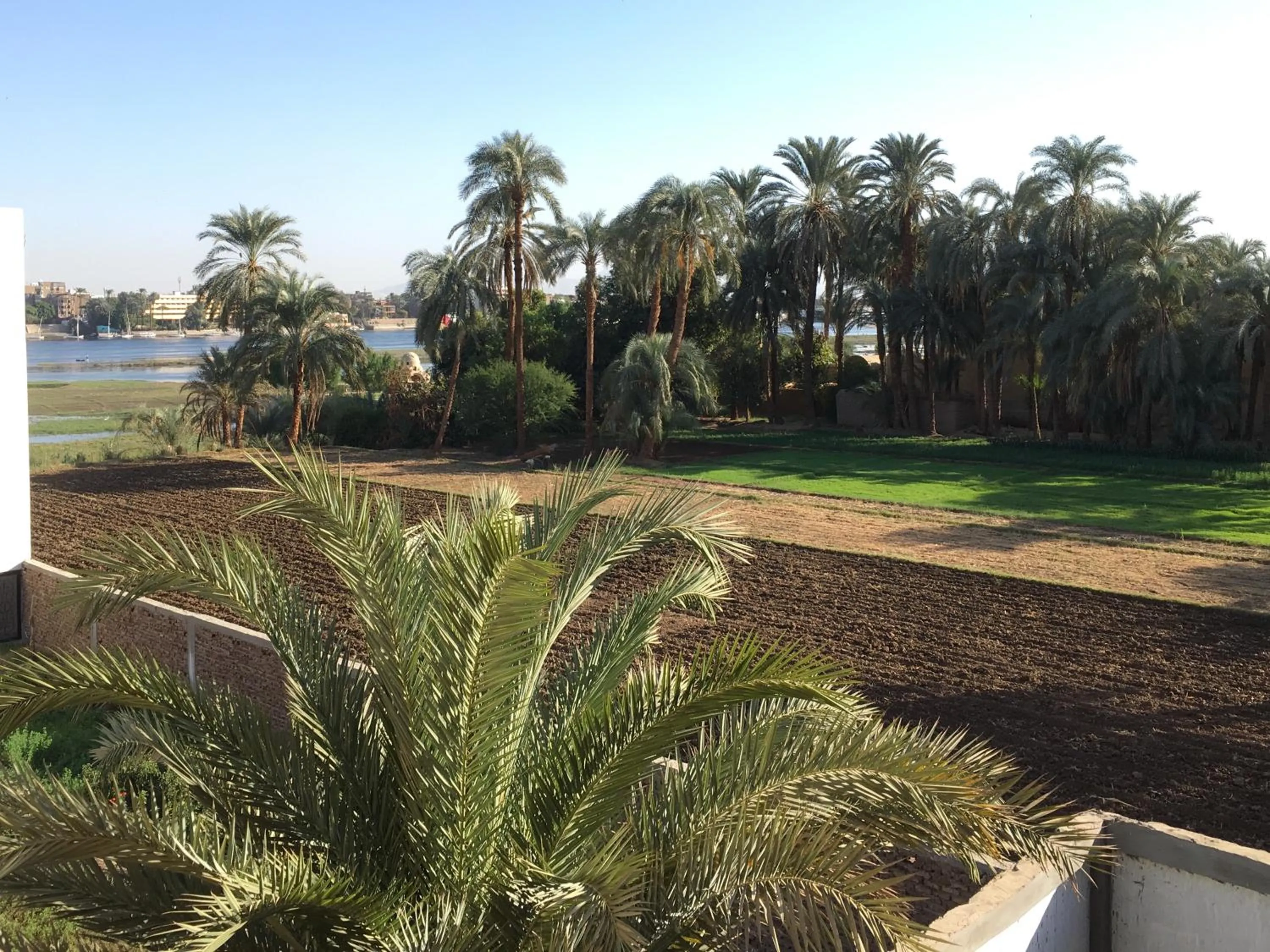 Garden view in Jewel Howard Carter Hotel