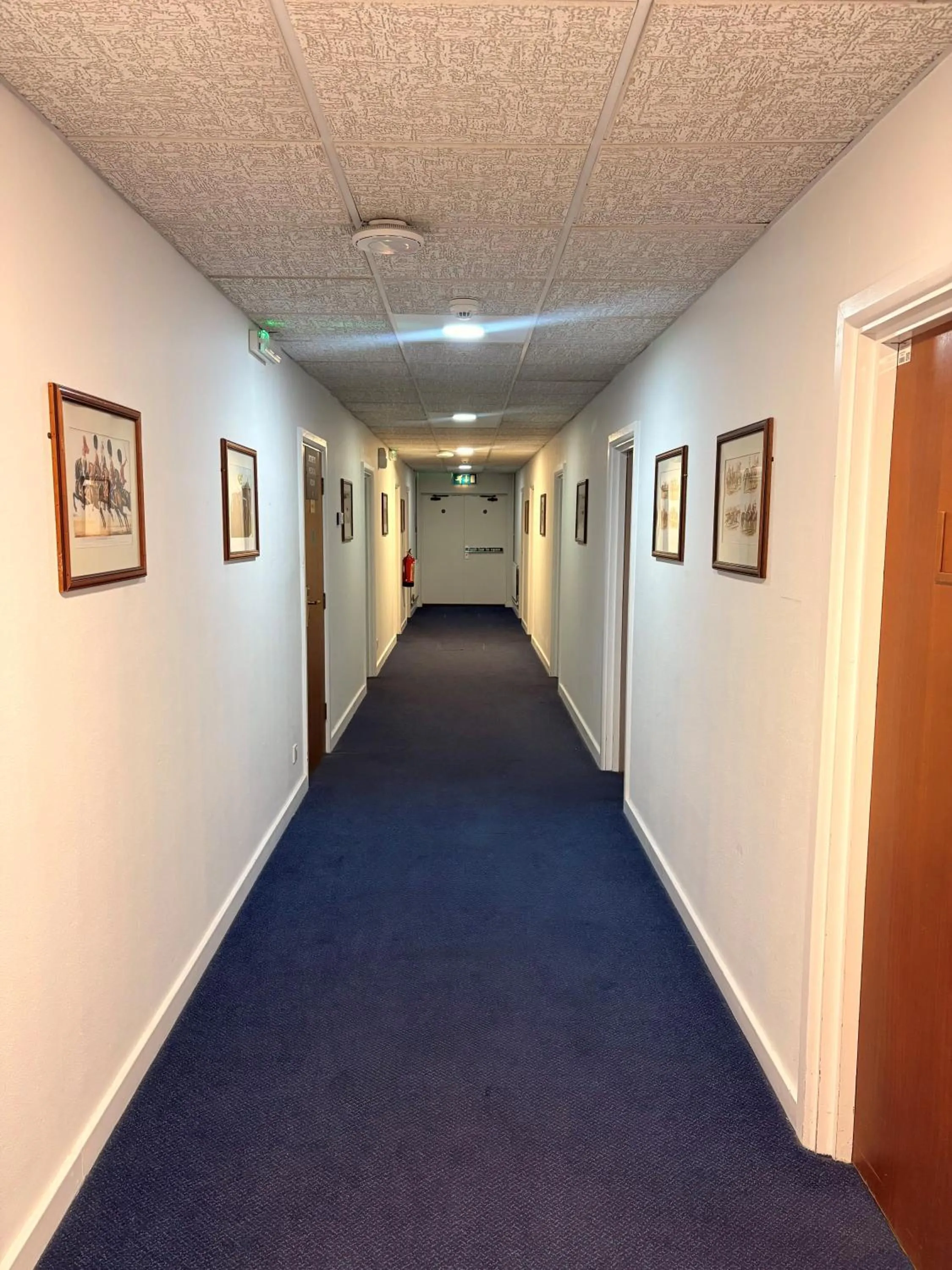 Property building in Sandown Park Lodge