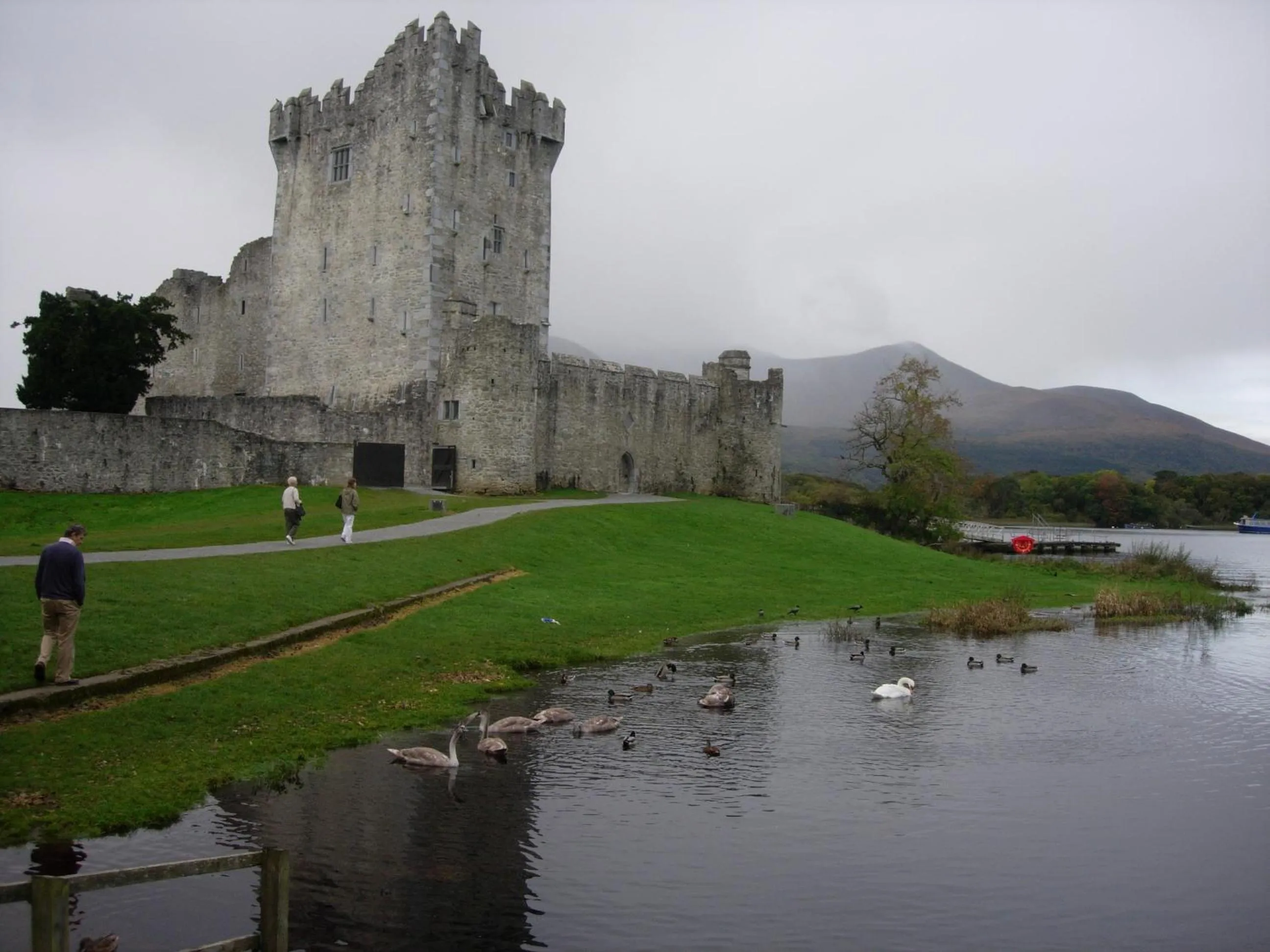 Landmark view in Redwood