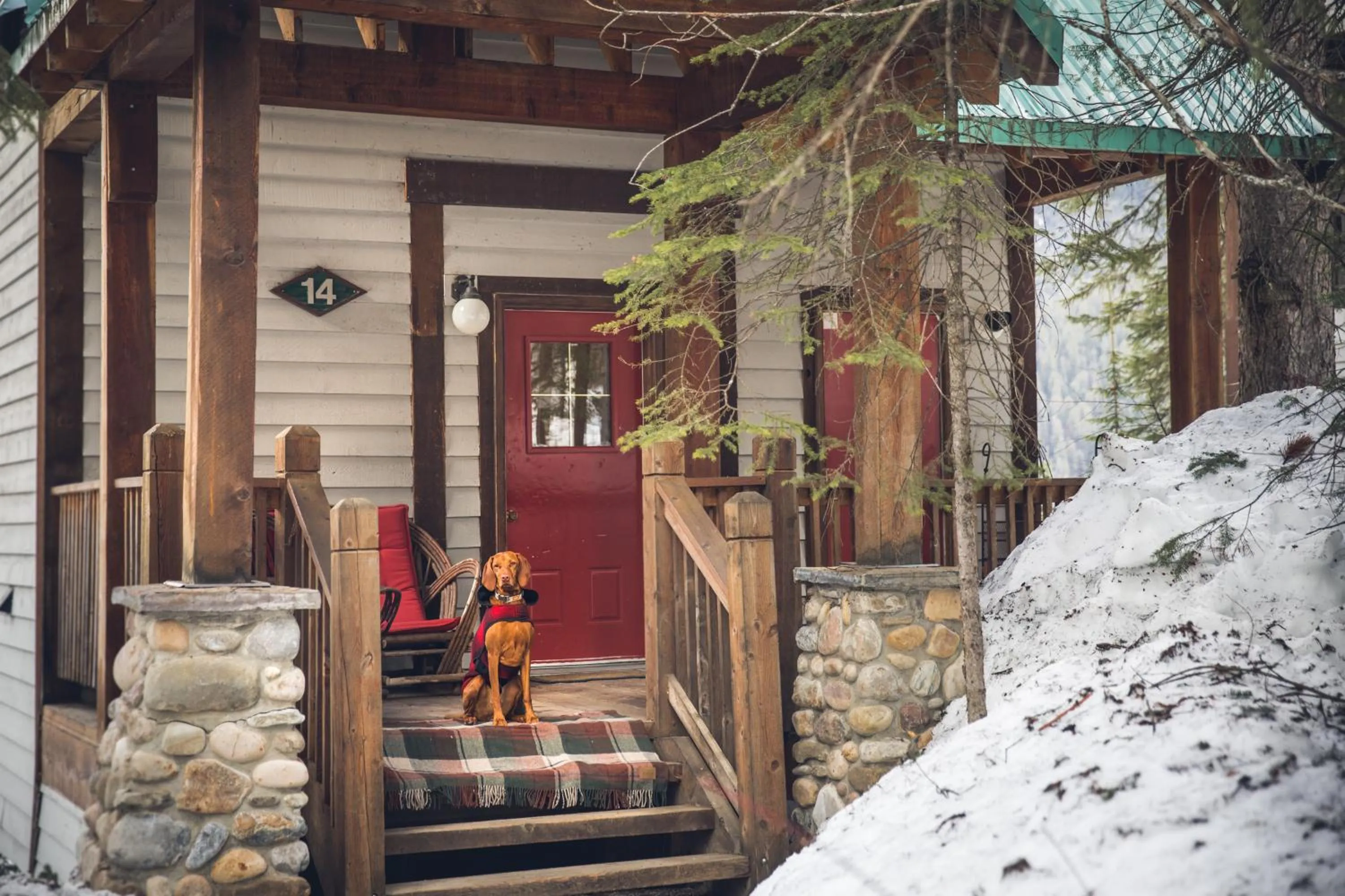 Pets in Emerald Lake Lodge