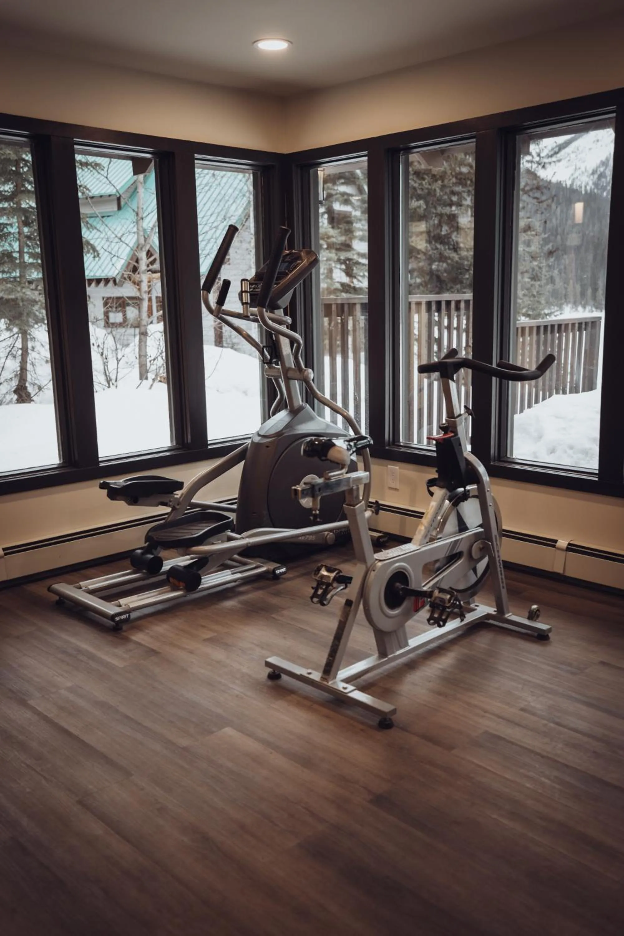 Fitness centre/facilities in Emerald Lake Lodge