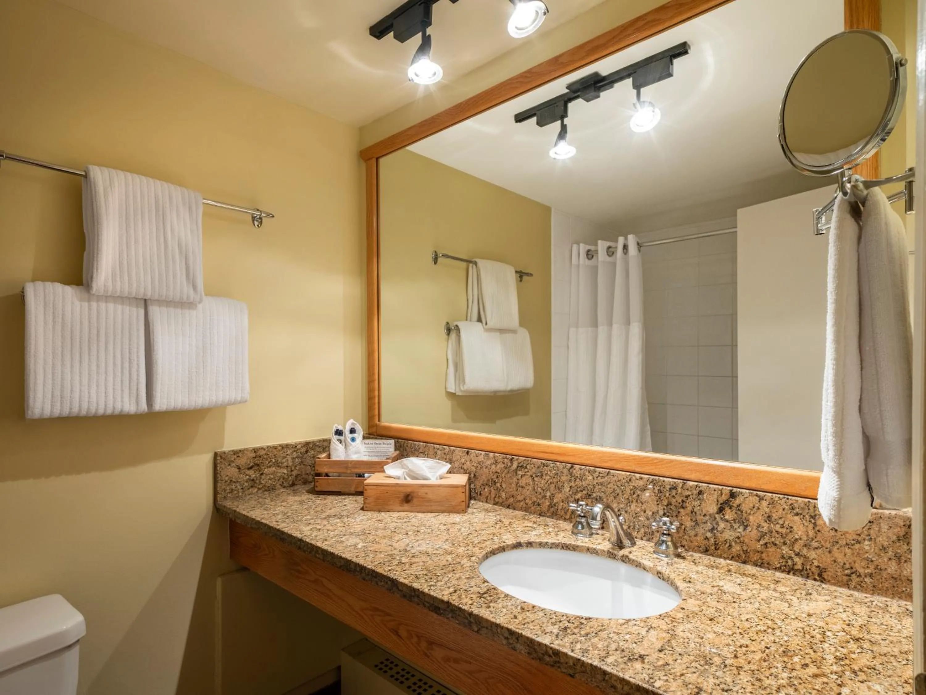 Bathroom in Emerald Lake Lodge