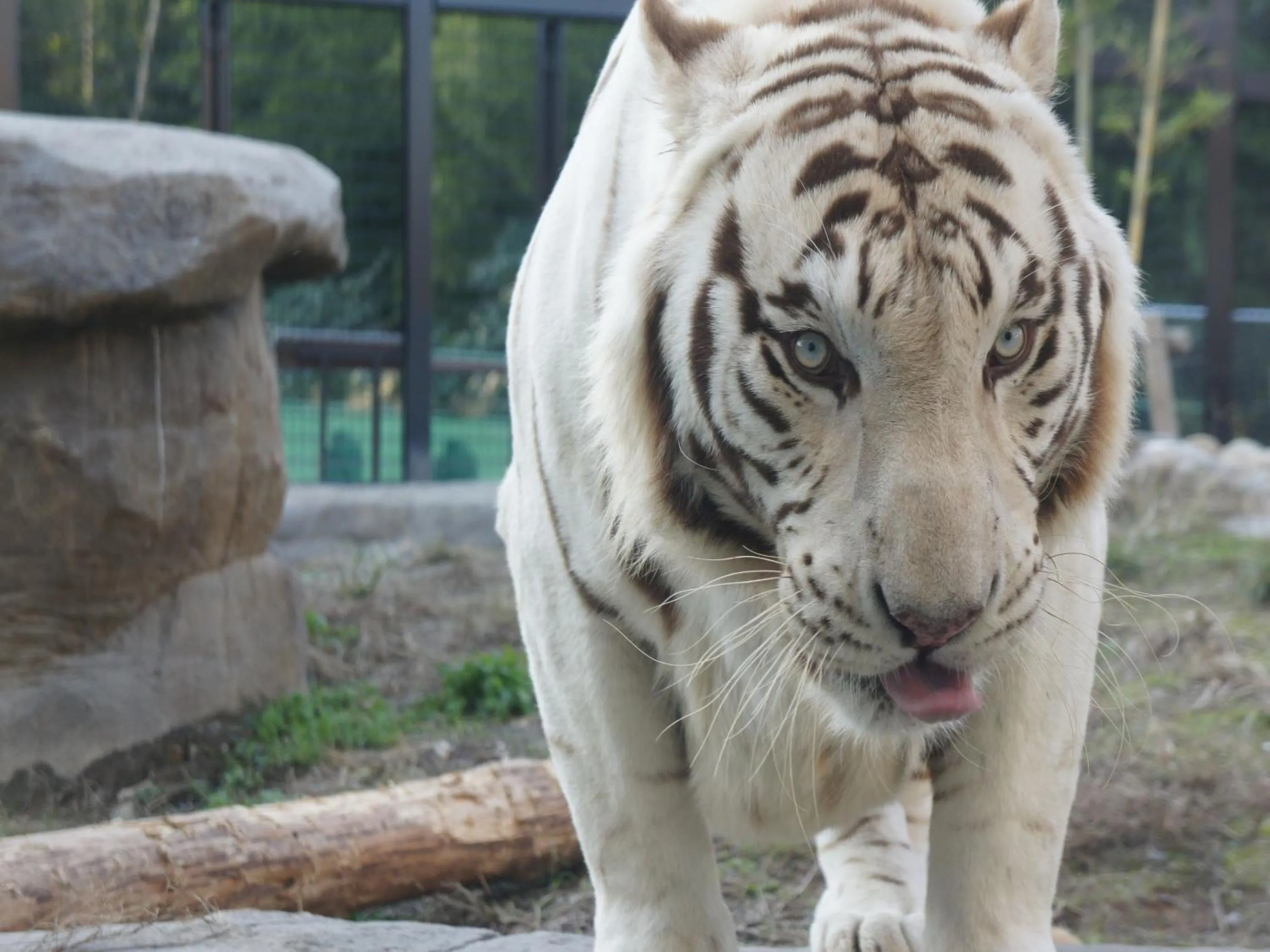 Nearby landmark in Art Hotel Kagoshima