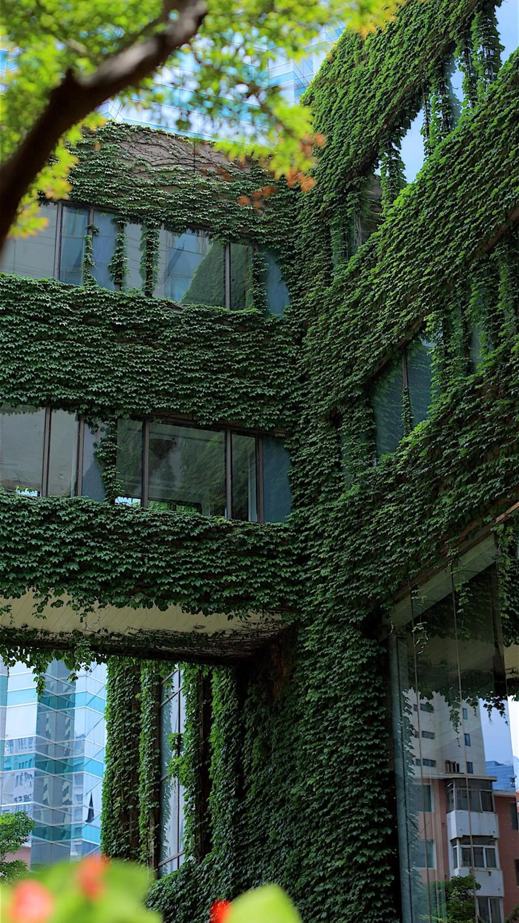 Property building in Shangri-La Dalian