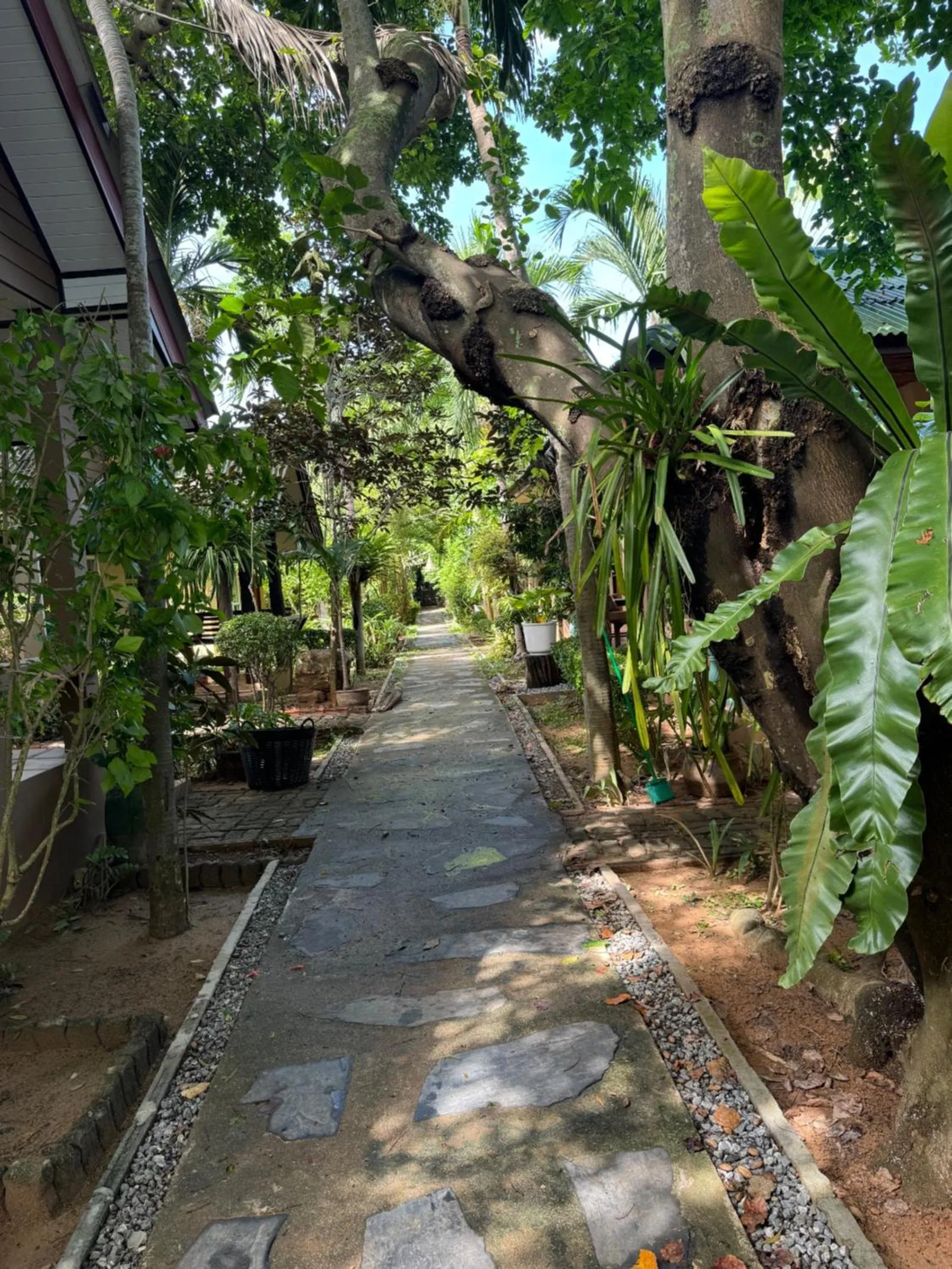 Garden in Lanta Riviera Beach Resort