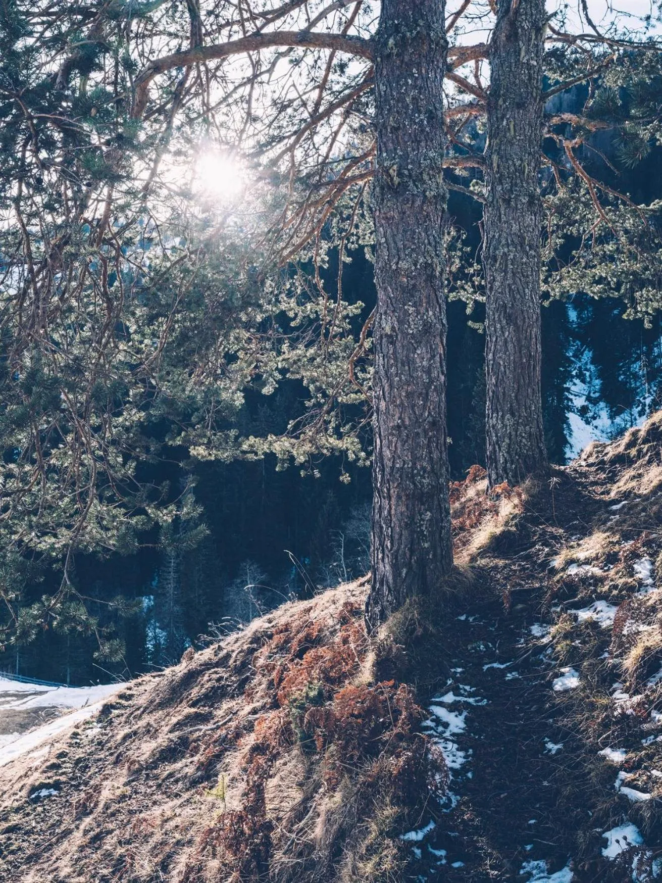 Almwellness-Resort Tuffbad