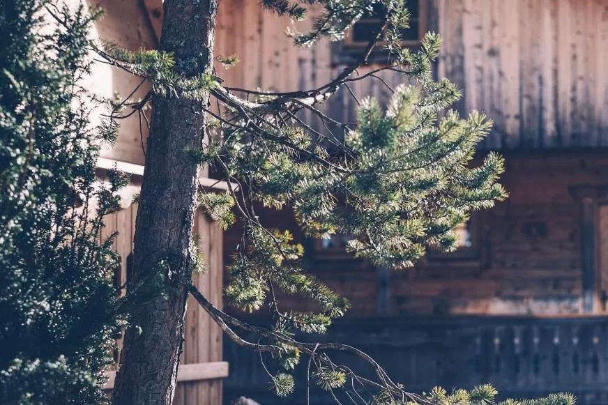 Almwellness-Resort Tuffbad