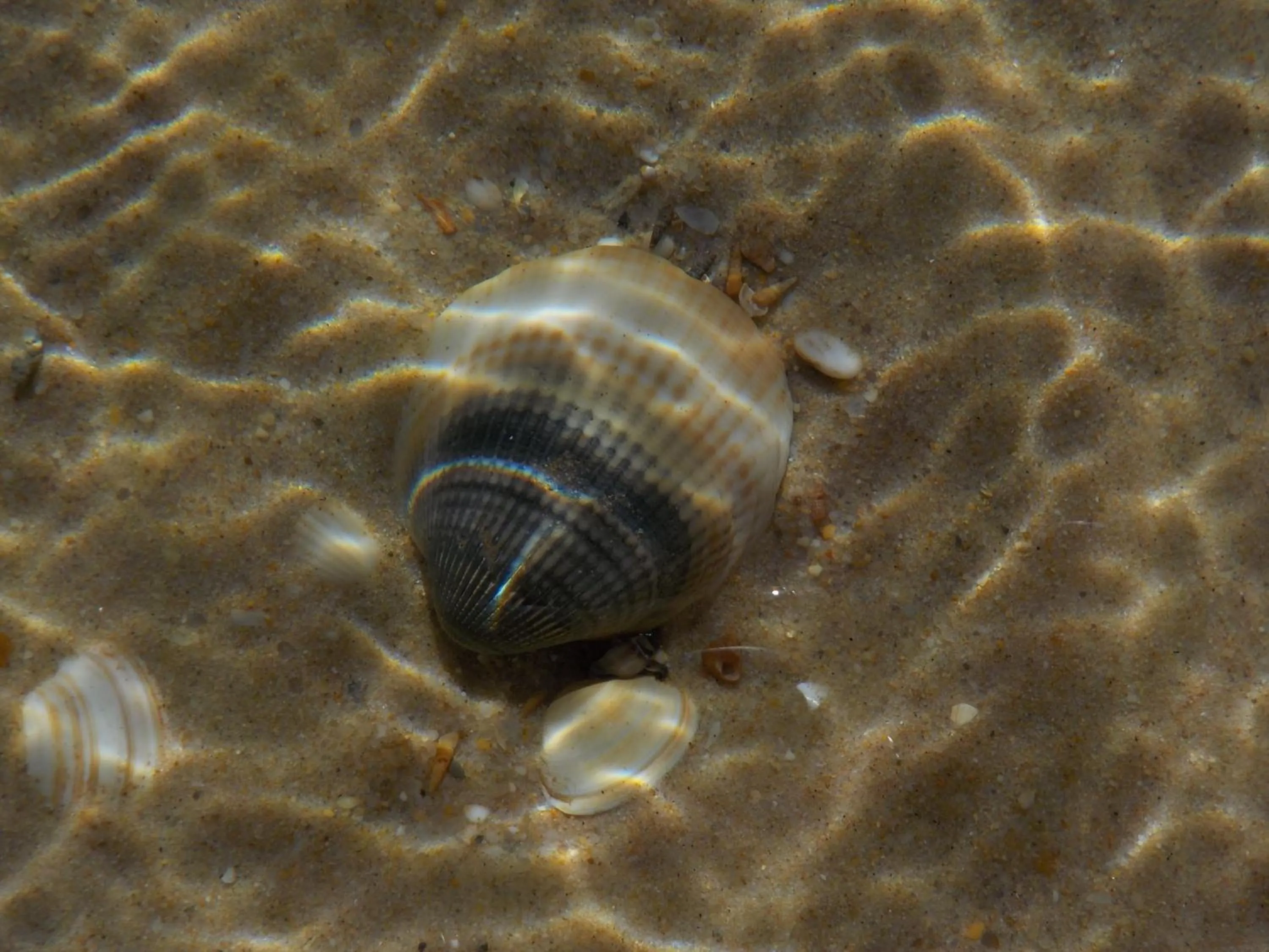 Nearby landmark in Villa vista mar e piscina