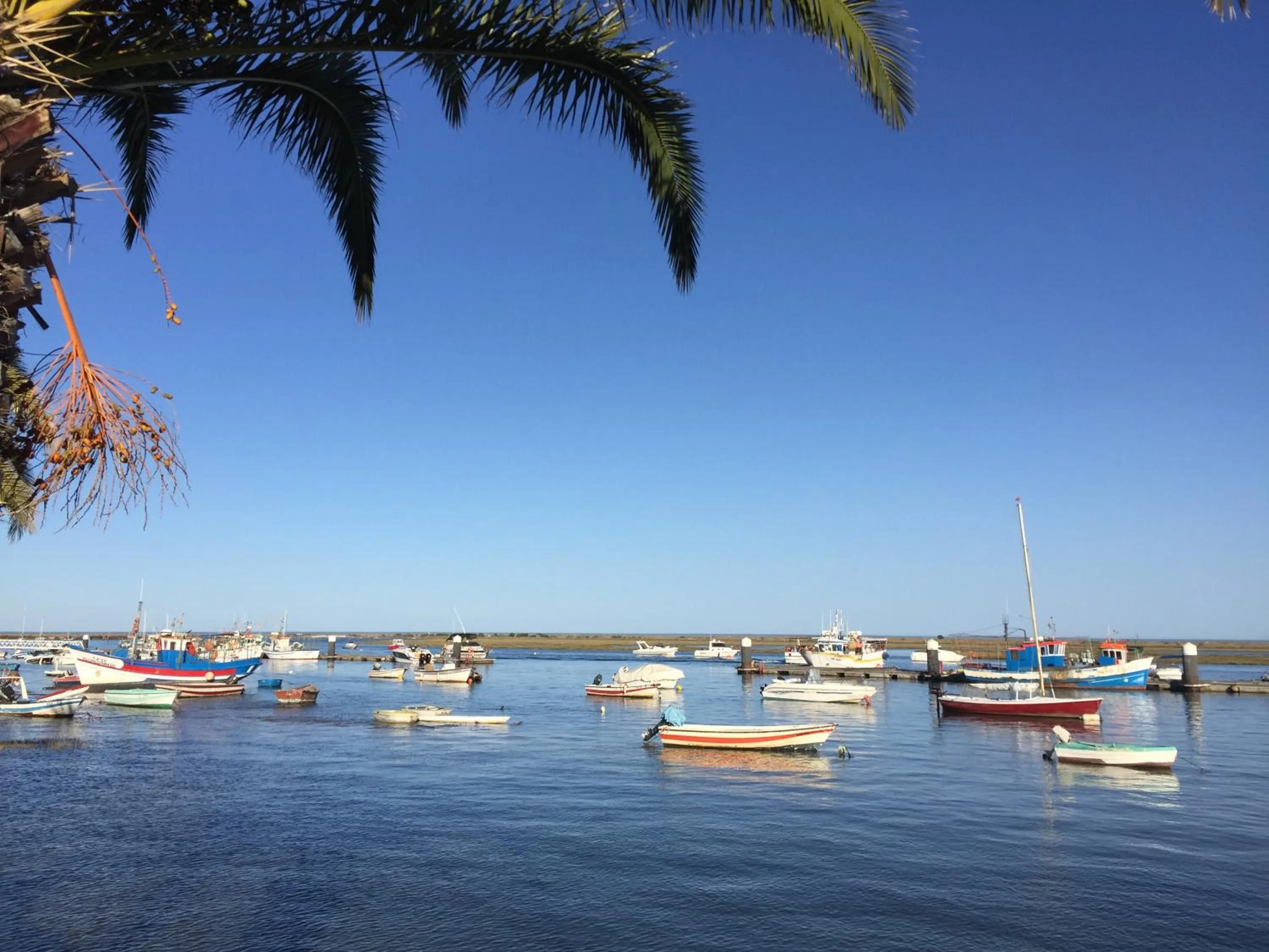 Natural landscape in Villa vista mar e piscina