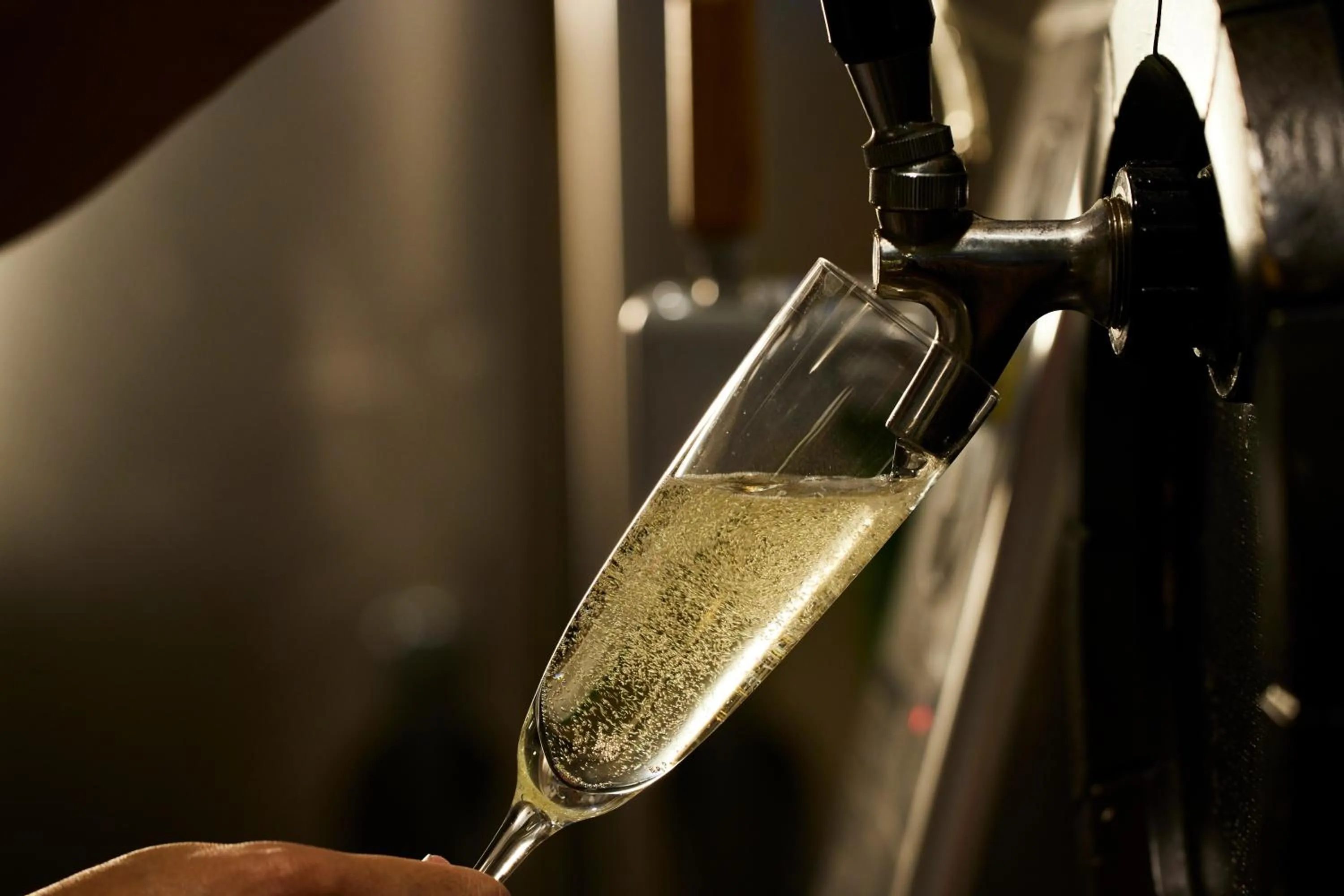 Restaurant/places to eat in Yono Daiichi Hotel