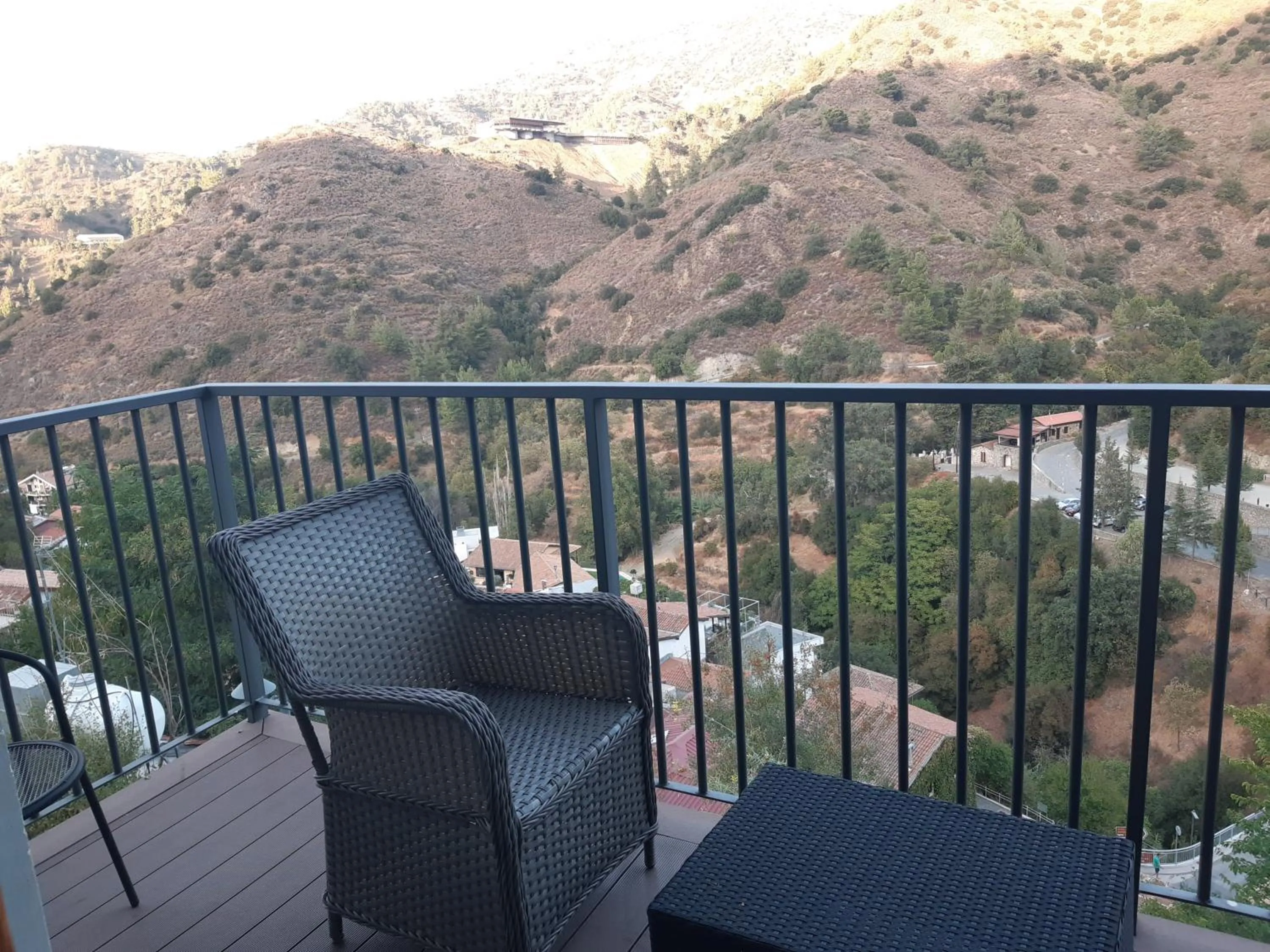 Balcony/Terrace in Theoxenia