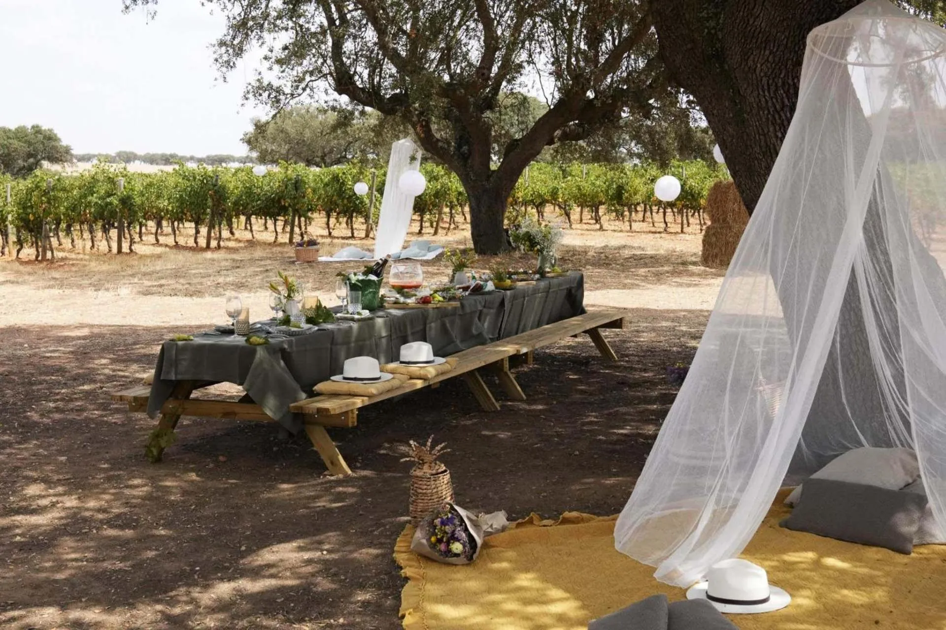 Activities in Herdade da Malhadinha Nova - Relais & Châteaux