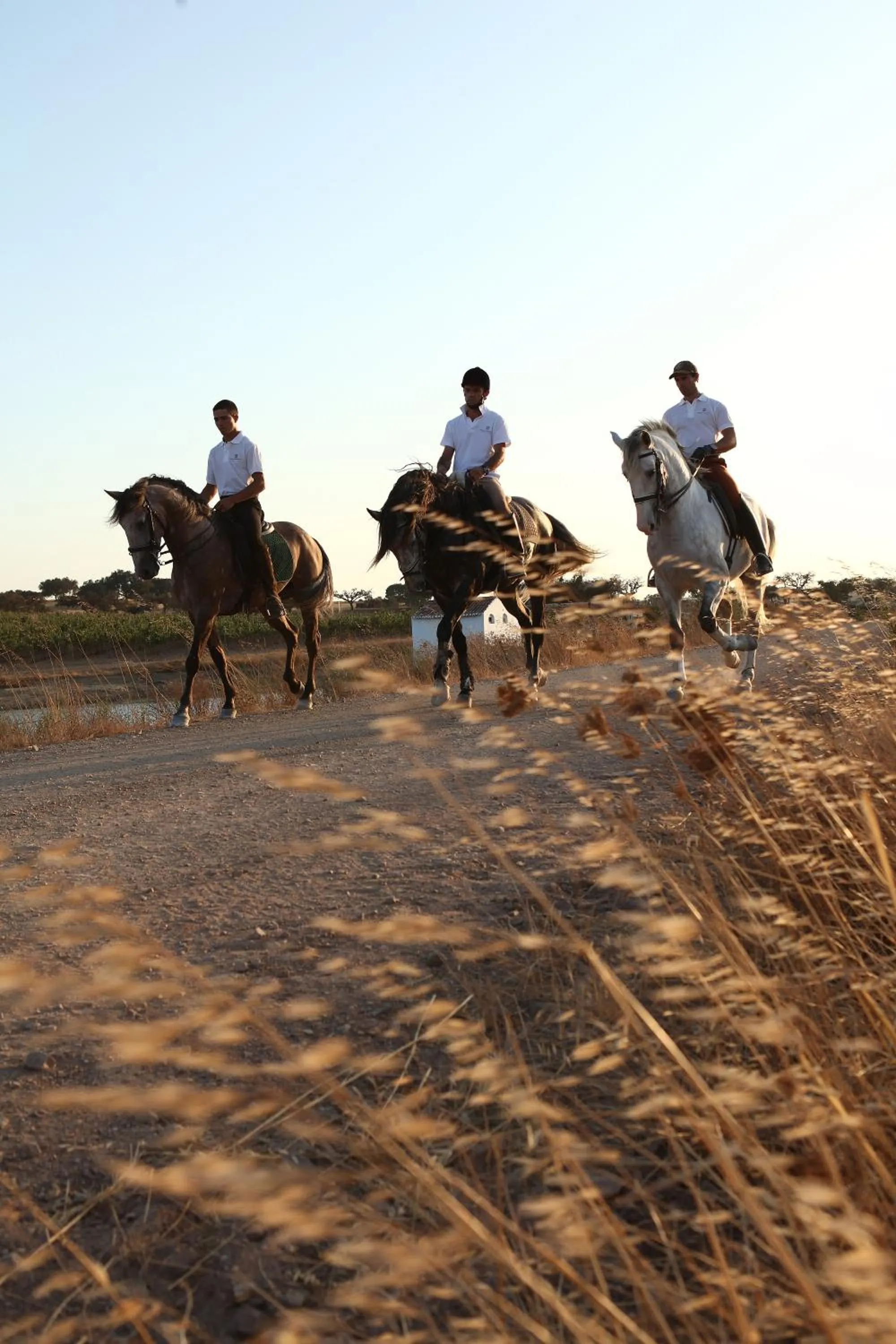 Activities in Herdade da Malhadinha Nova - Relais & Châteaux