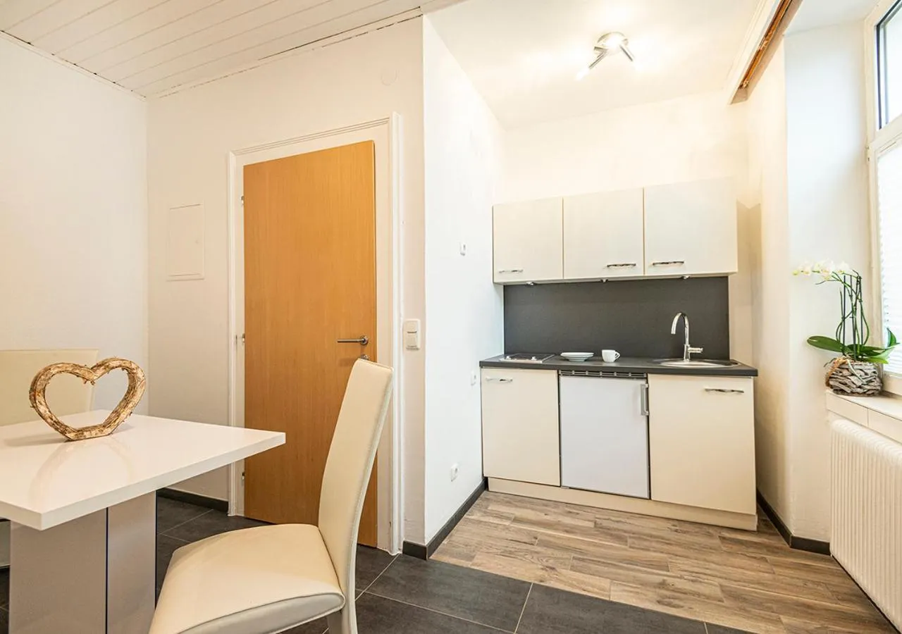 Kitchen or kitchenette in Hotel Bristol