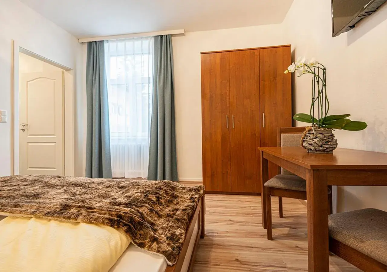 Family Studio - single occupancy in Hotel Bristol Family Studio - single occupancy in Hotel Bristol