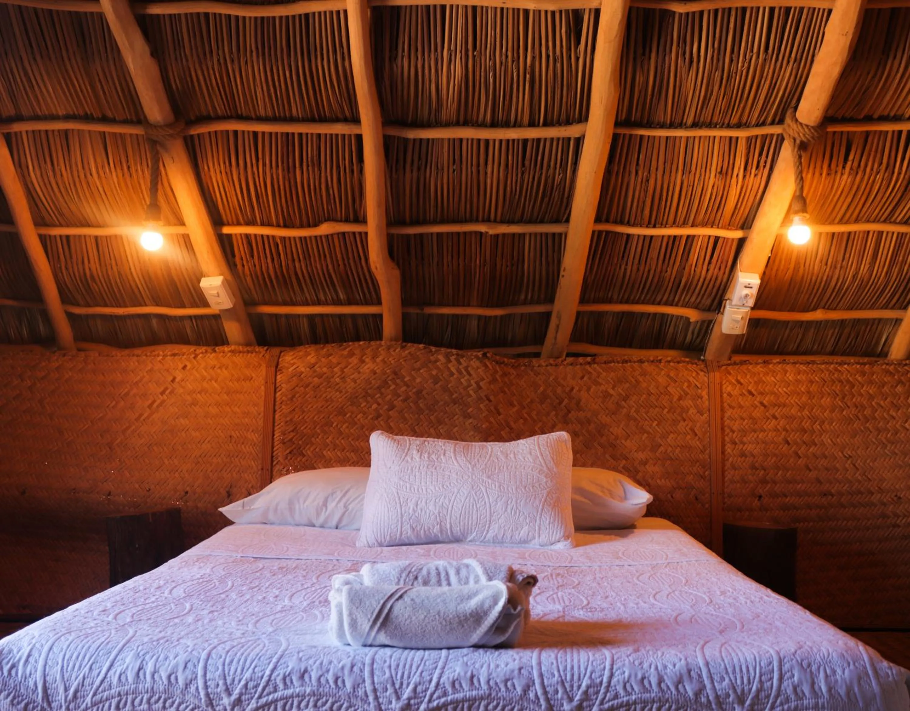 Bed in La Redonda Surf Hostel Sayulita