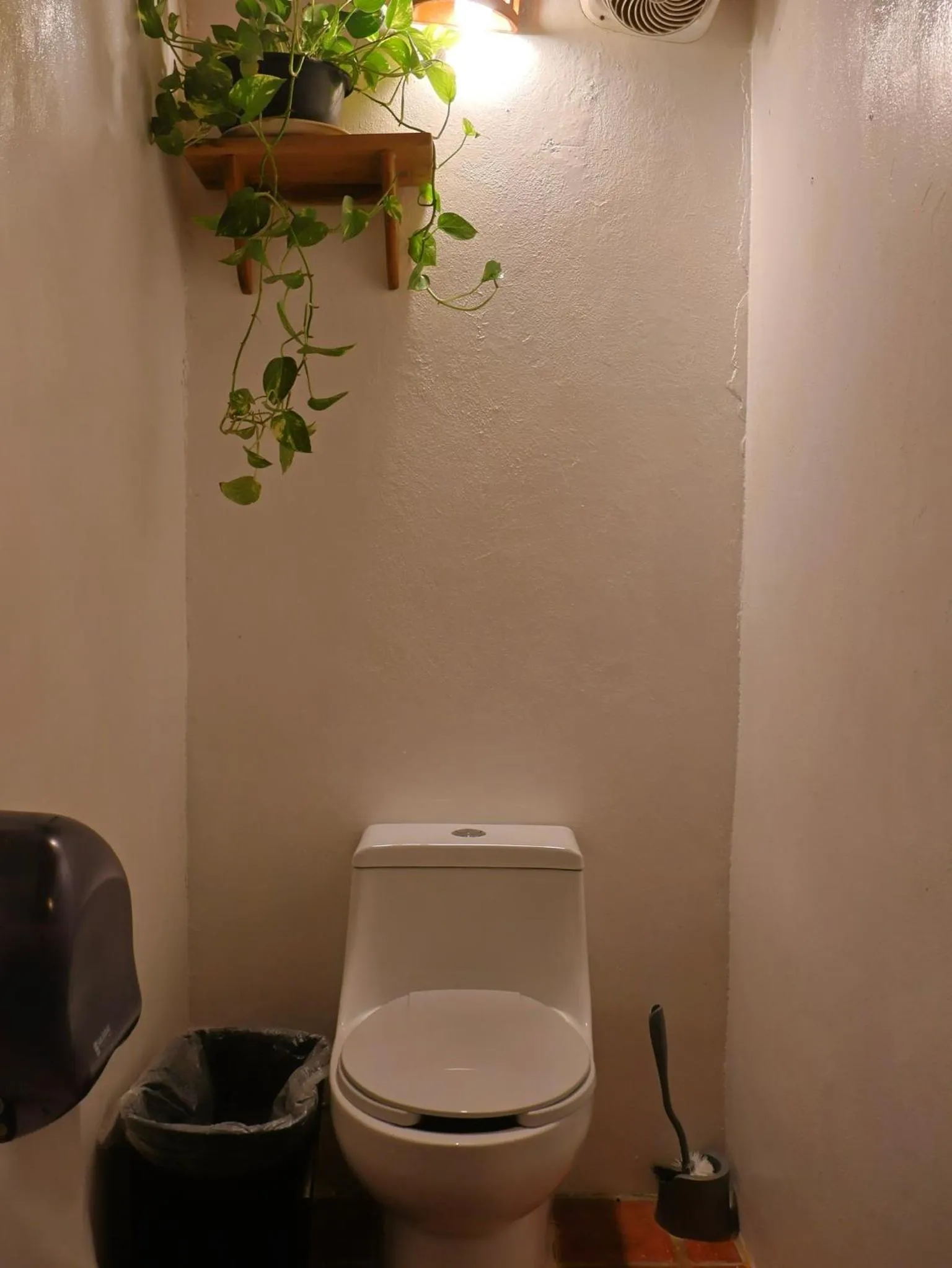 La Redonda Surf Hostel Sayulita