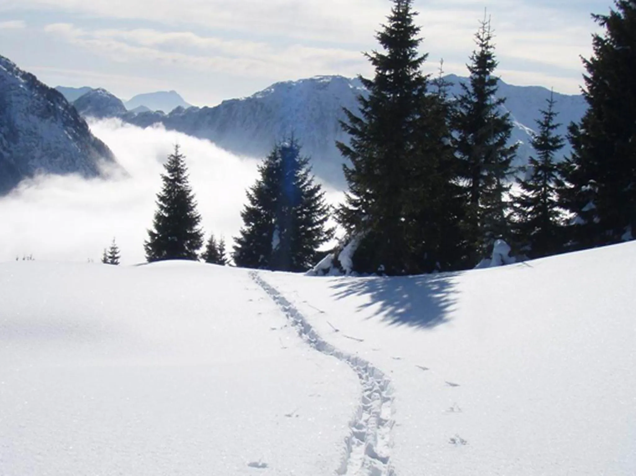 Natural landscape in Hotel Erlenhof