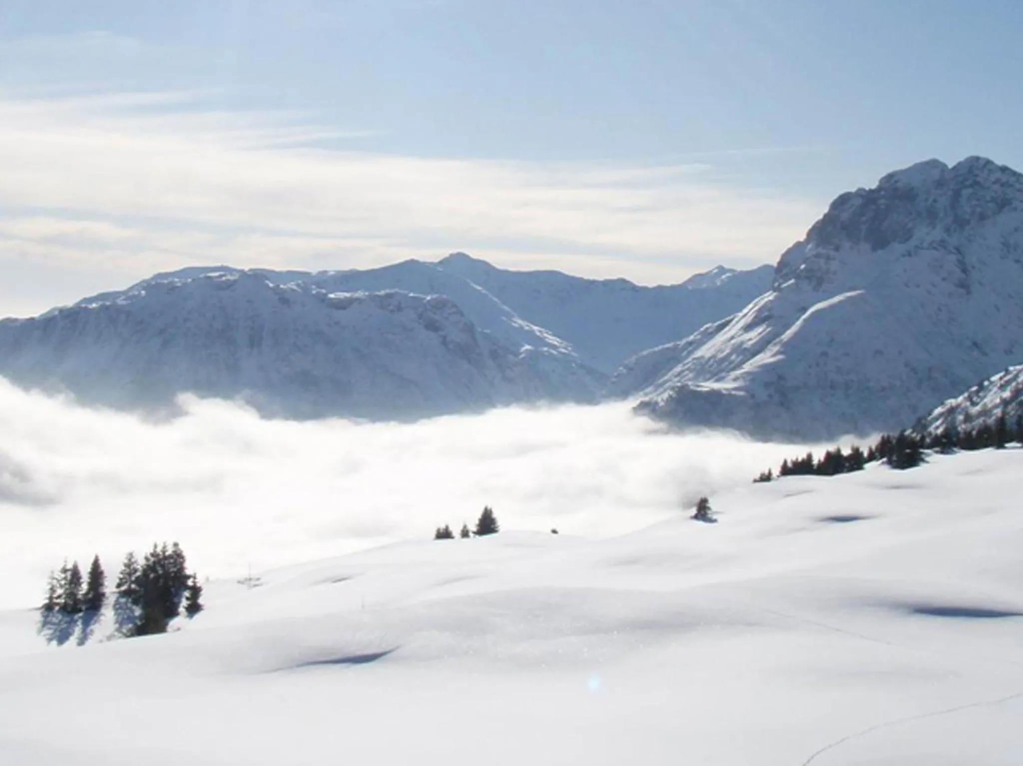 Natural landscape in Hotel Erlenhof