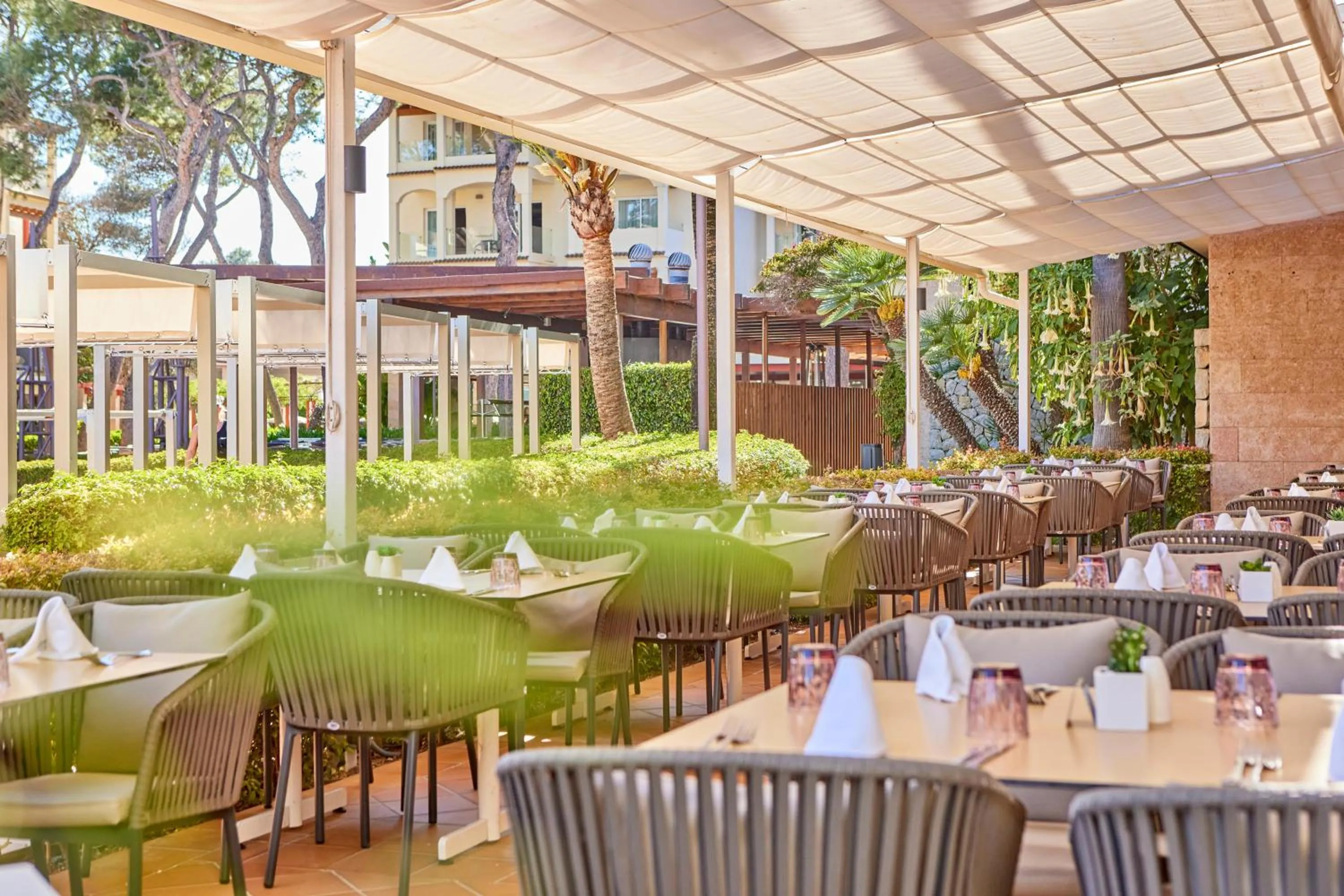 Restaurant/places to eat in Zafiro Bahia