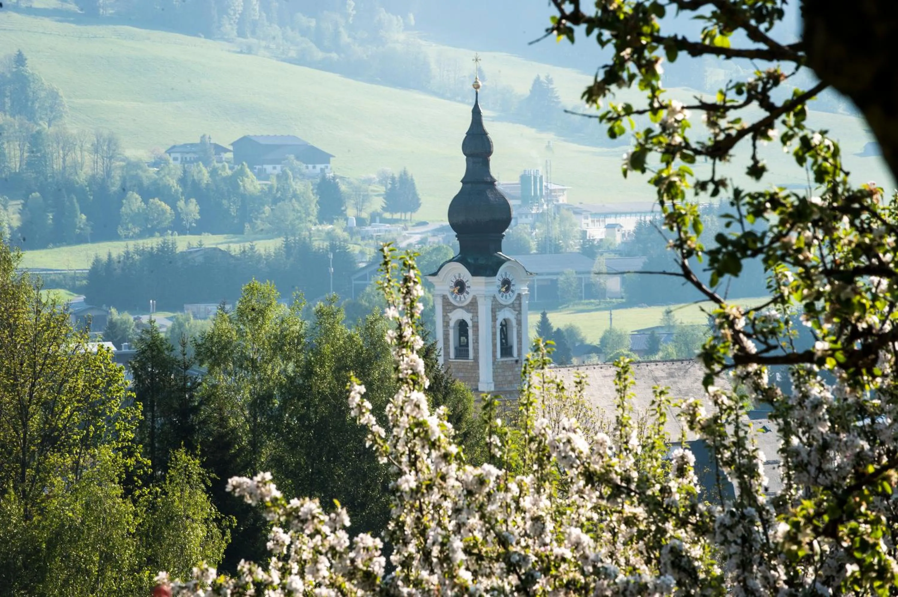 Natural landscape in Landhaus Steiner