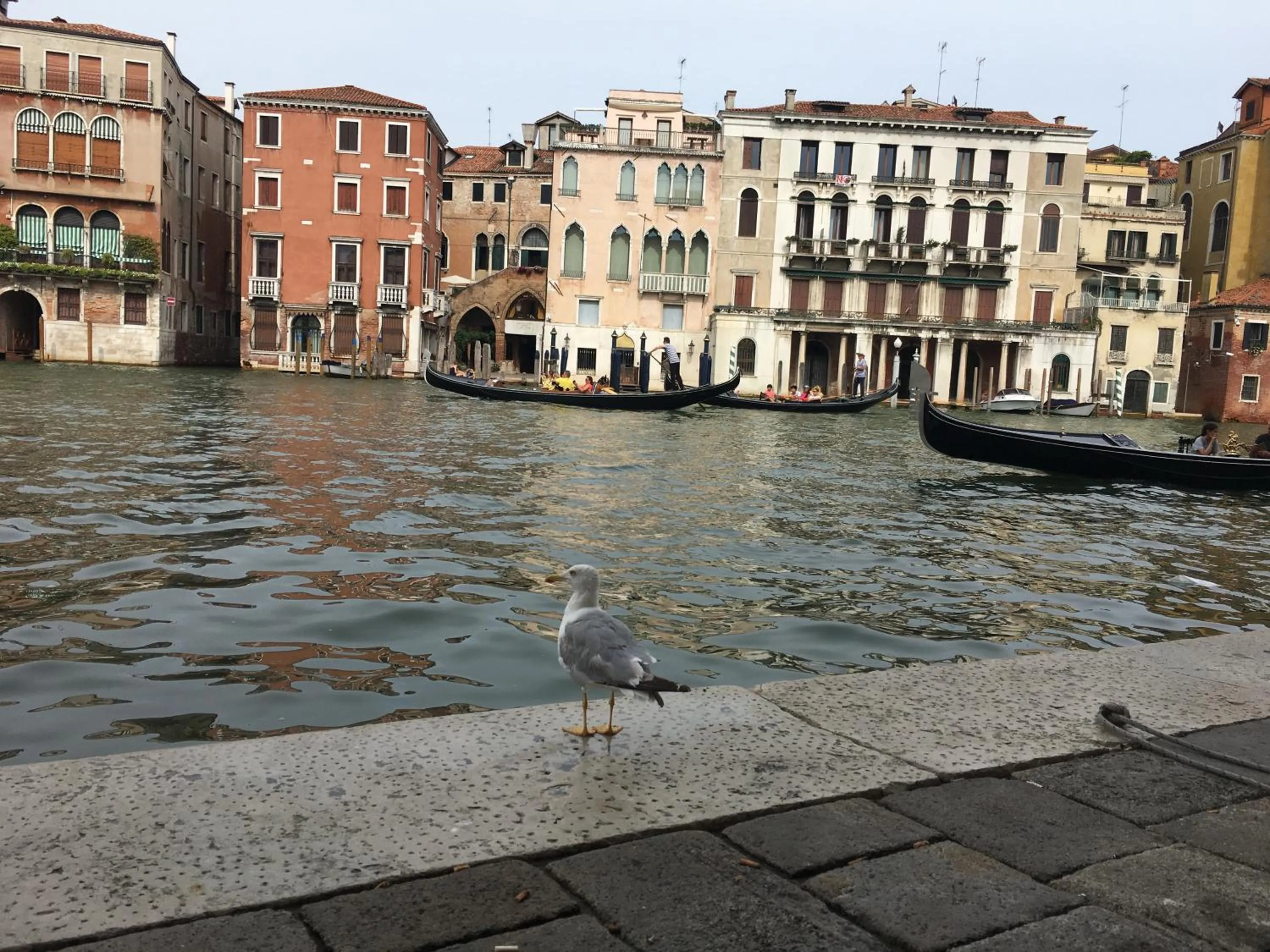 Facade/entrance in Palazzo Lion Morosini - Check in presso Locanda Ai Santi Apostoli
