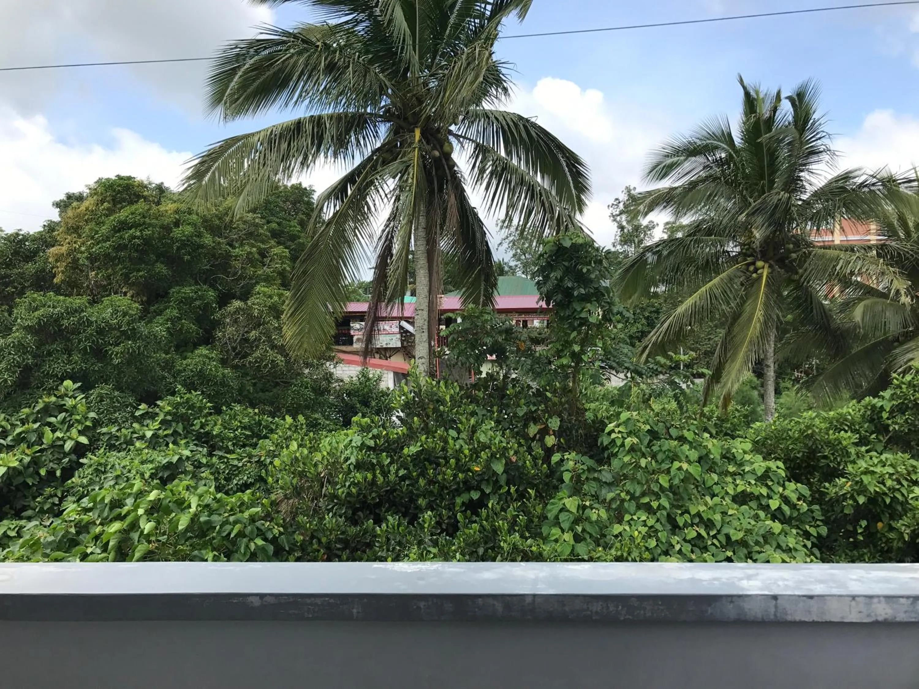 Alzeah's Place Room for Rent