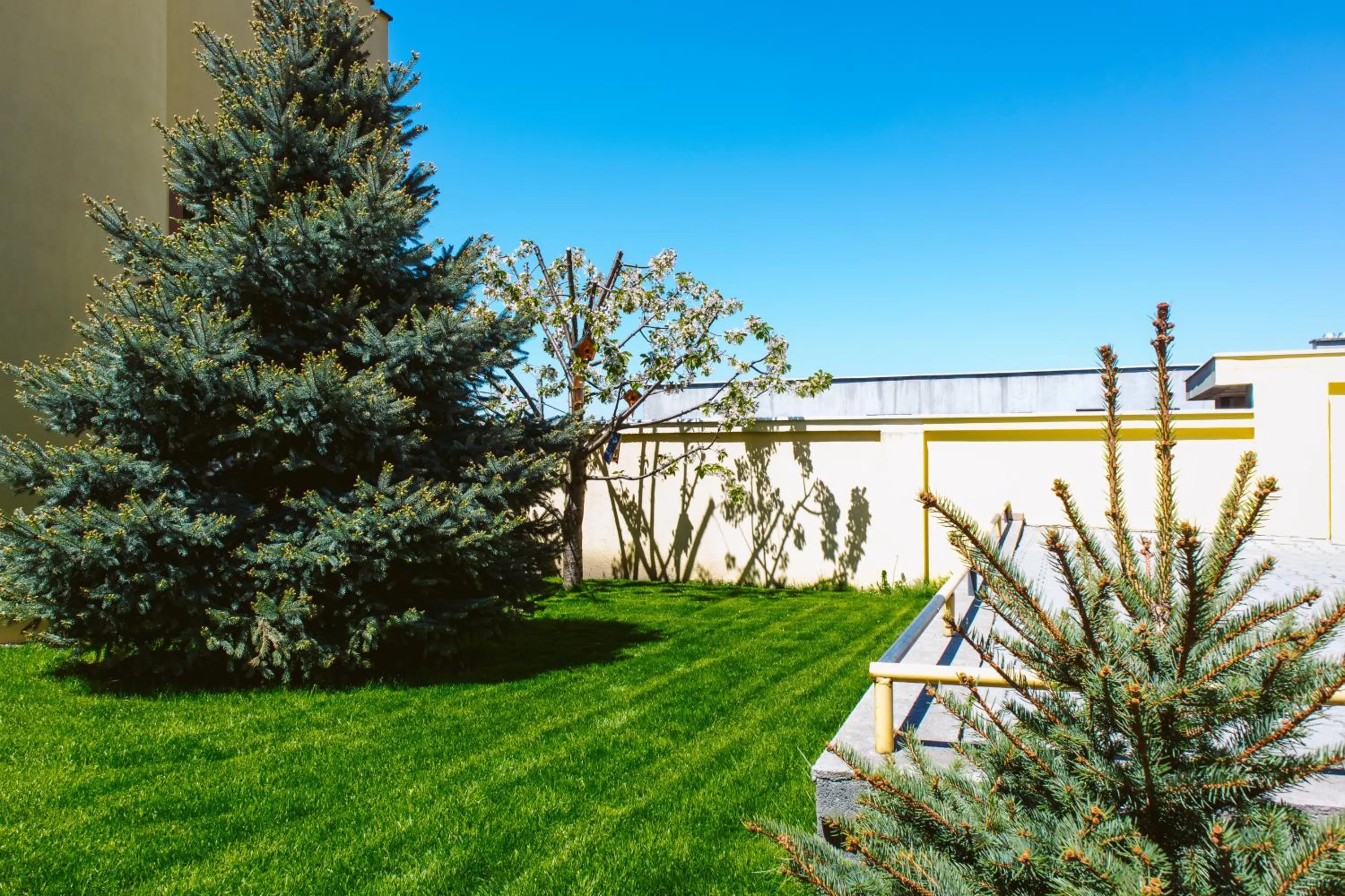 Property building in Pensiunea Imperial