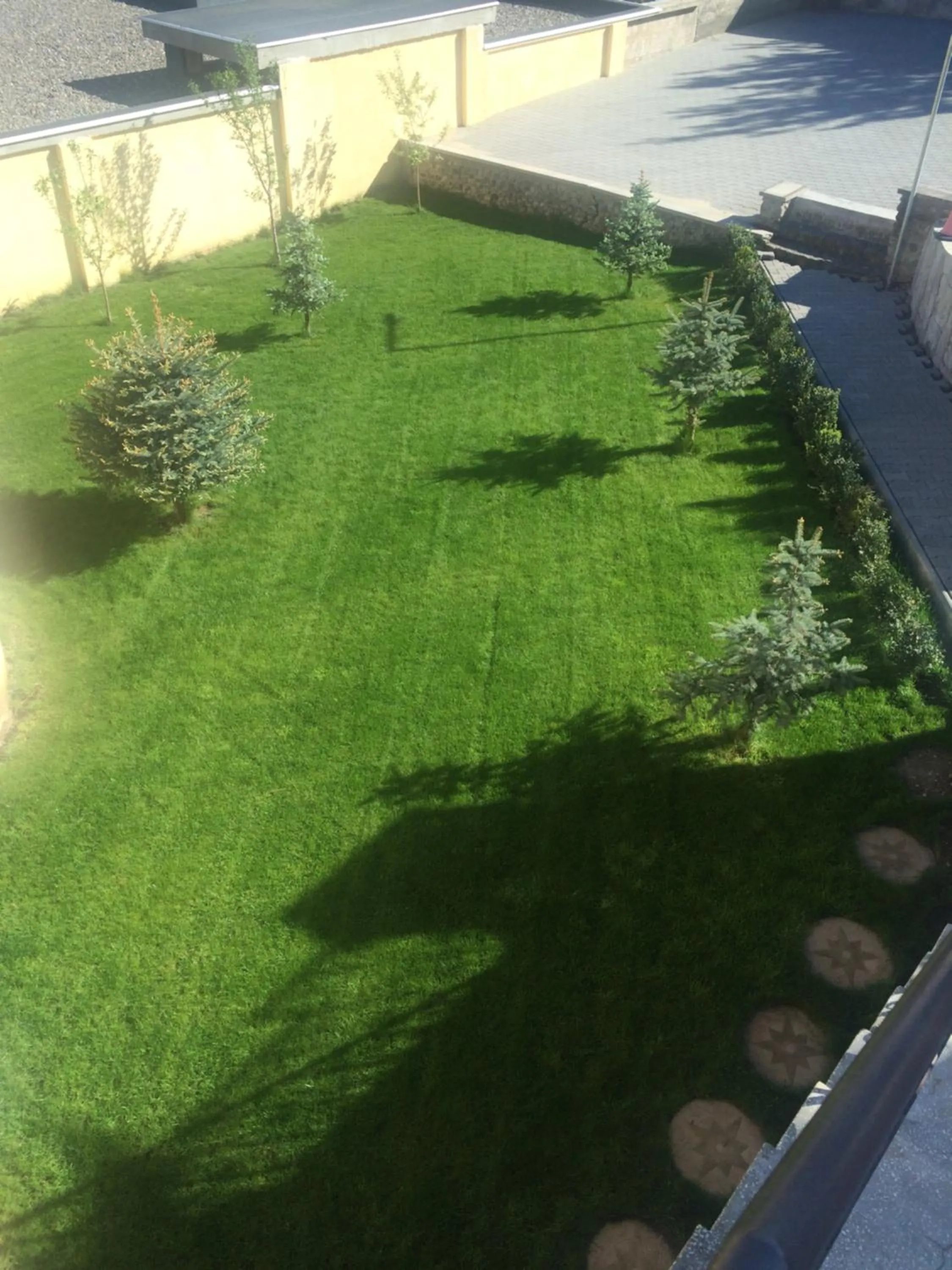 BBQ facilities in Pensiunea Imperial