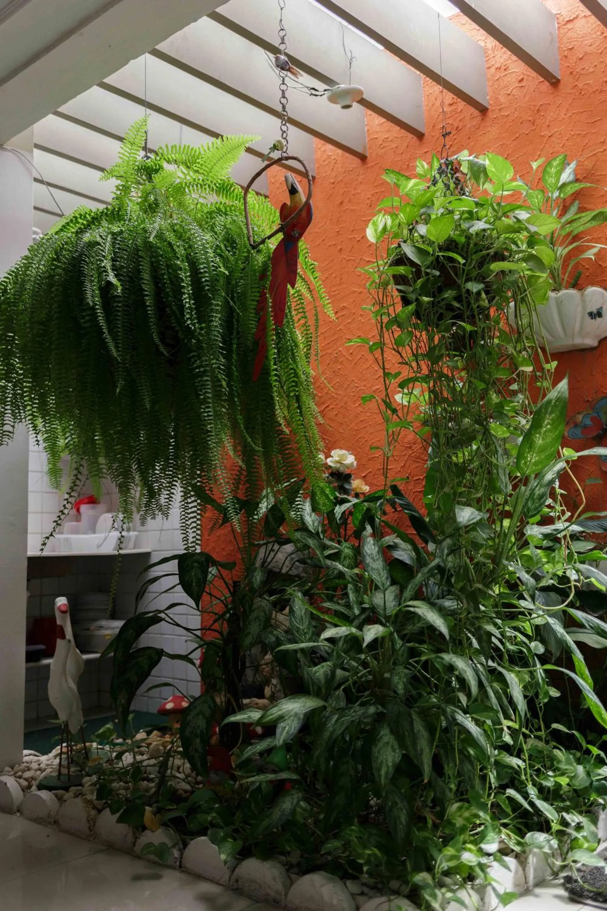 Garden in Trópico Praia Hotel