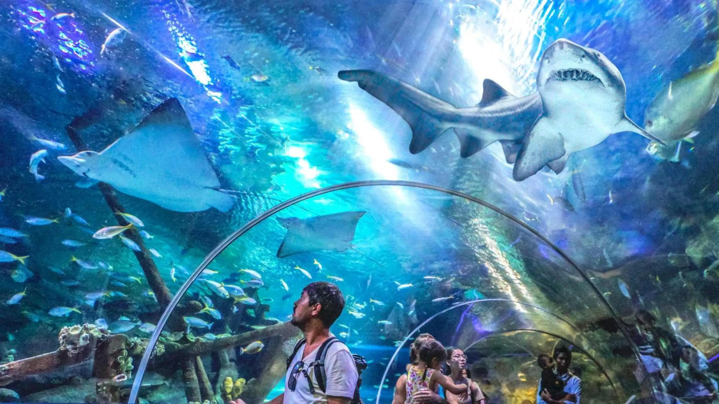 Nearby landmark in InterContinental Kuala Lumpur by IHG