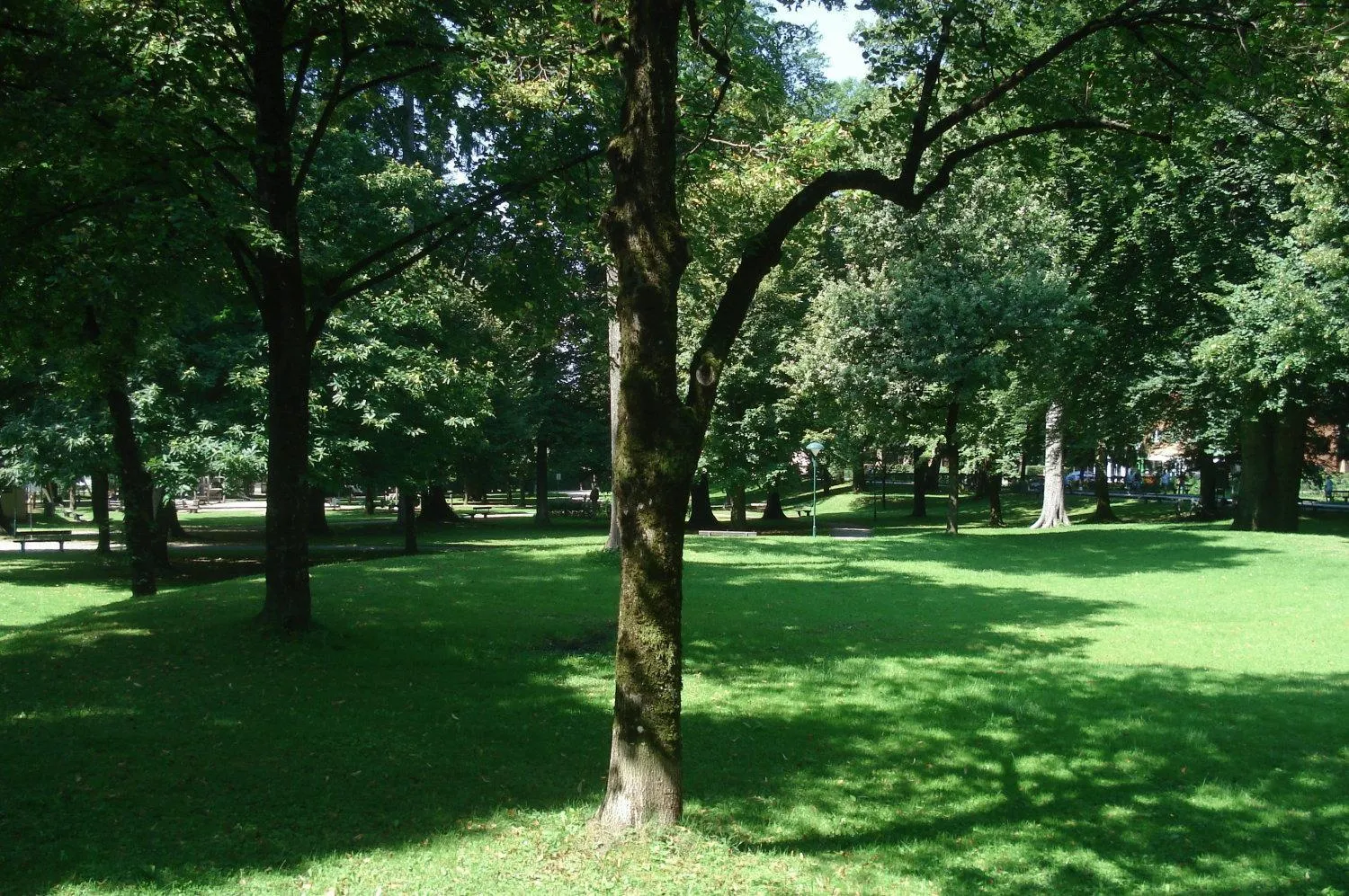 Other in Hotel Hofmann