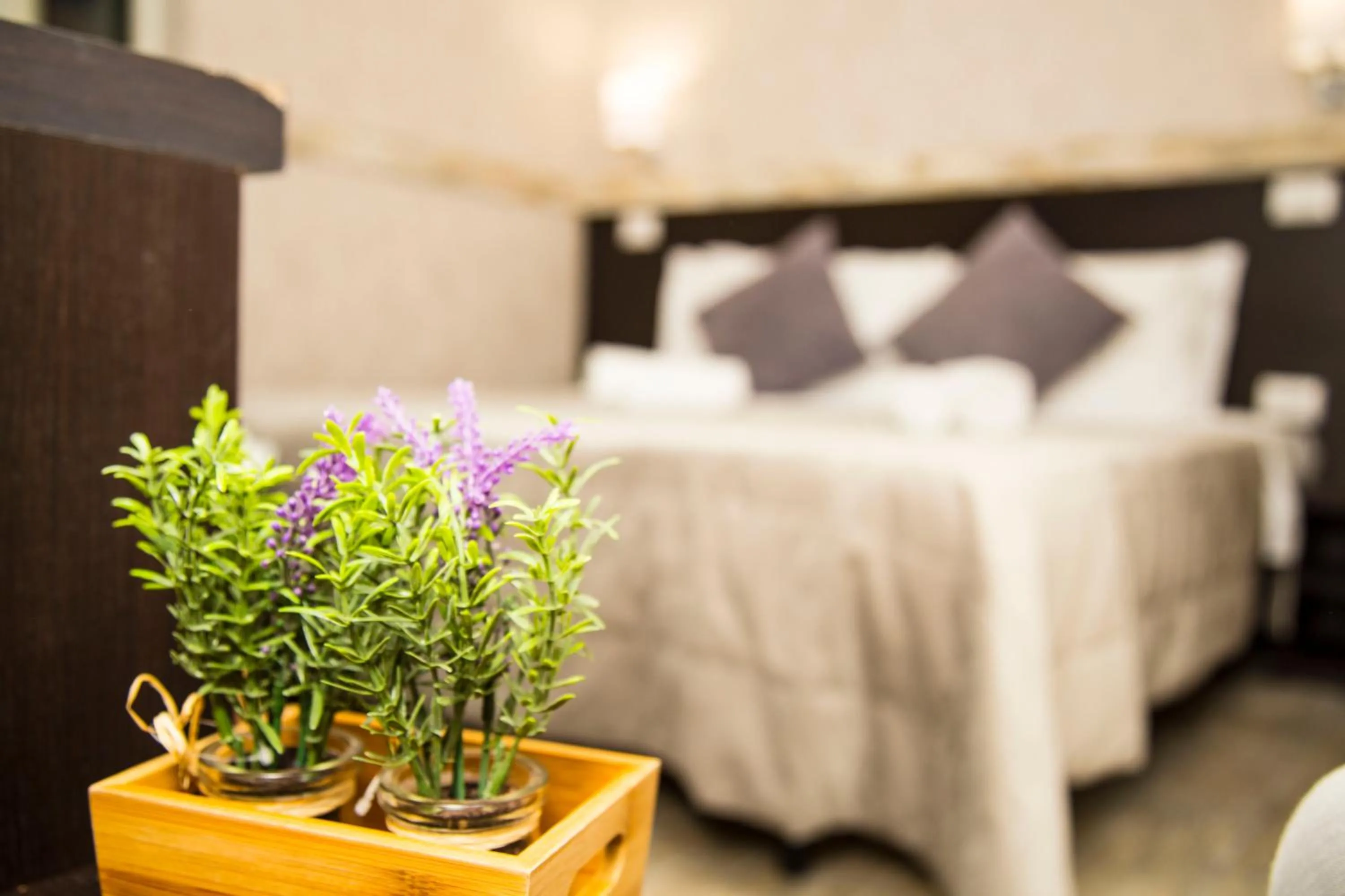 Bed in Santamaria Inn