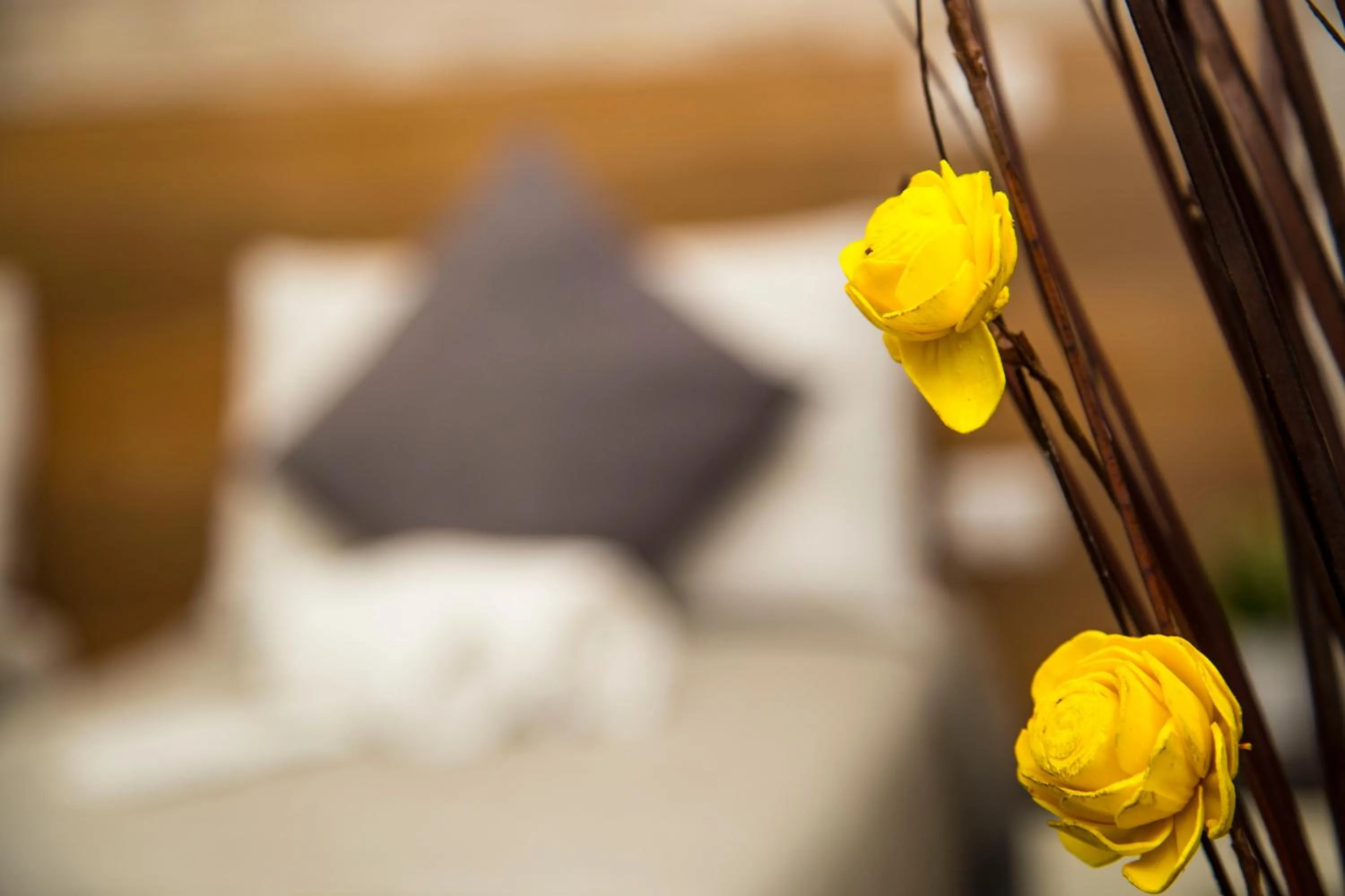 Decorative detail, Bed in Santamaria Inn