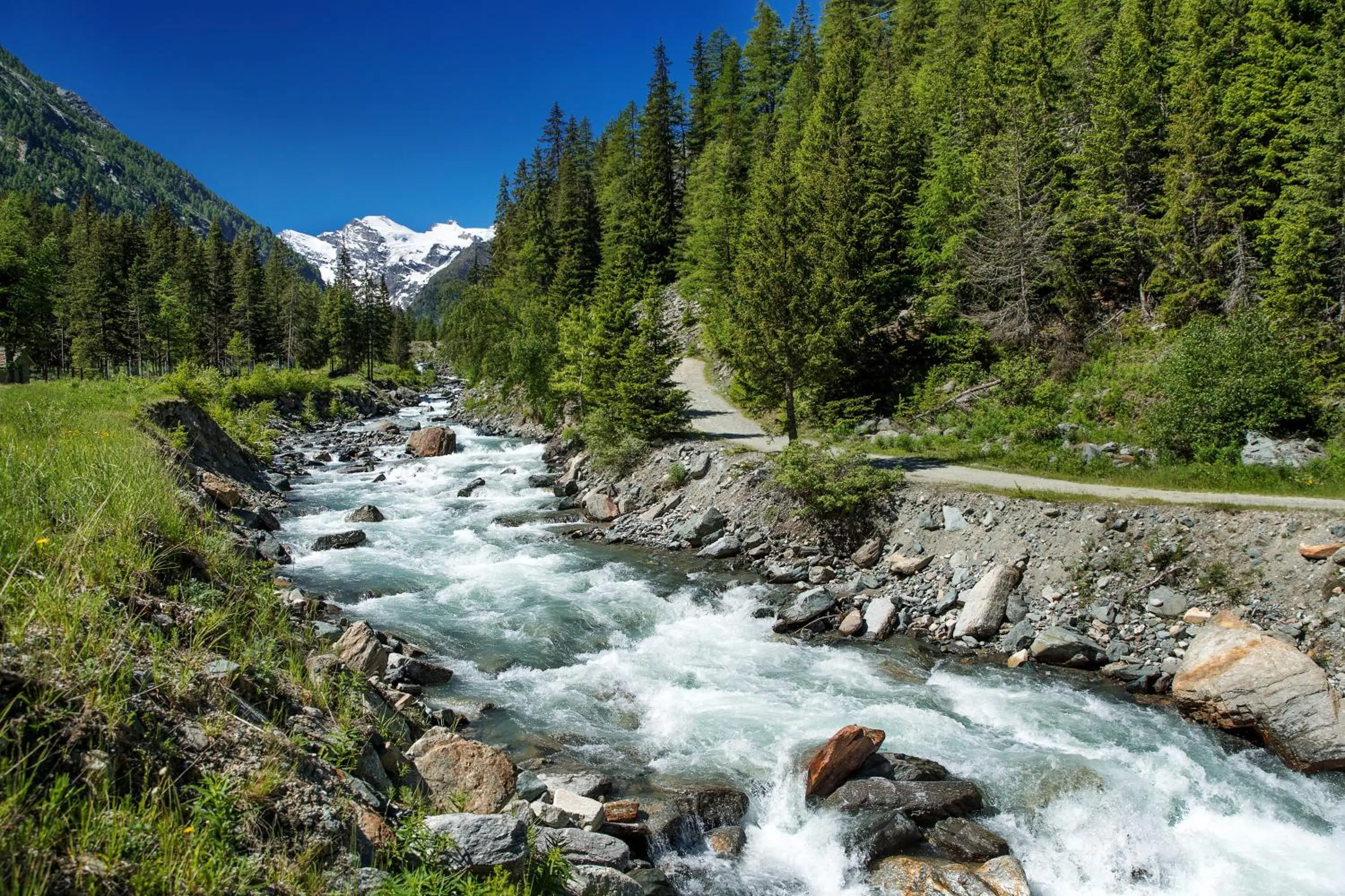 Natural landscape in Bellevue Hotel & SPA