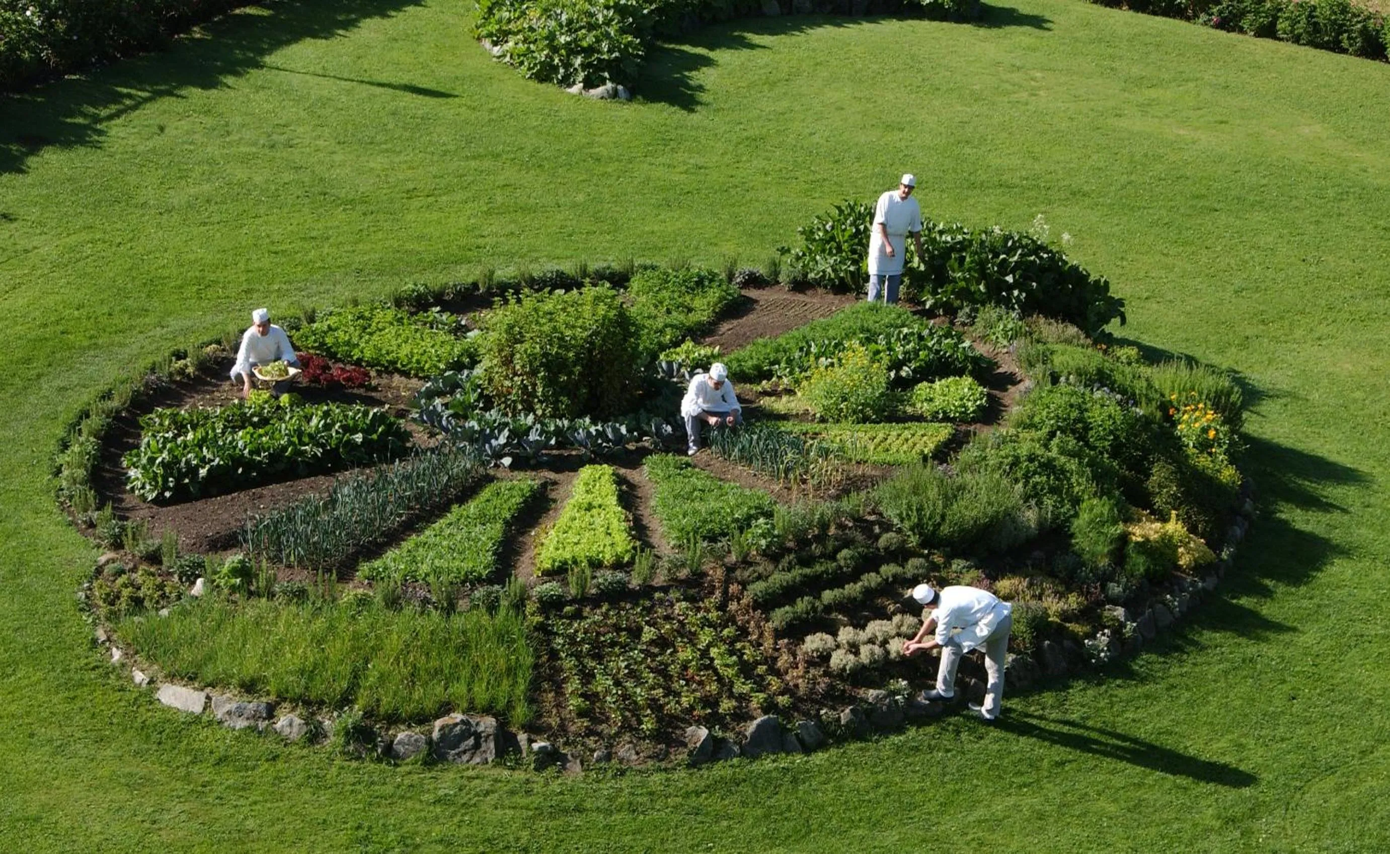 Garden in Bellevue Hotel & SPA