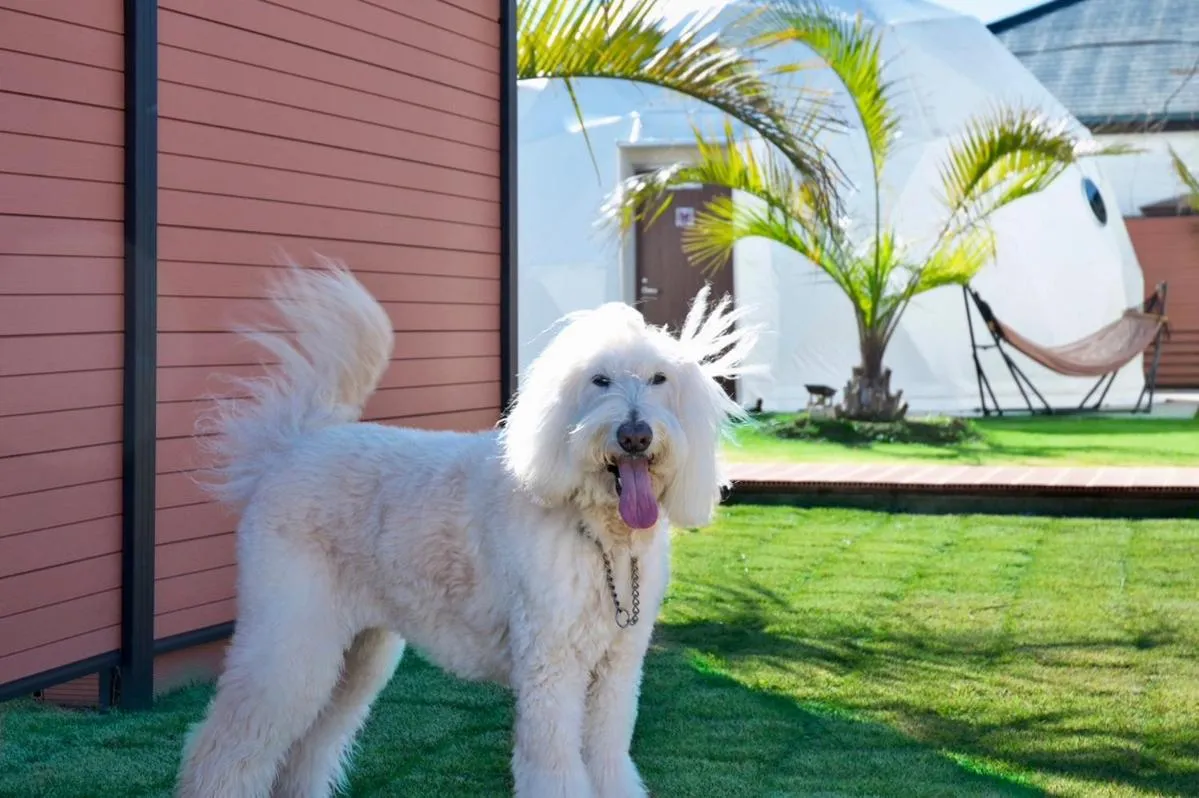 Ducale Garden Hotel Kujukuri