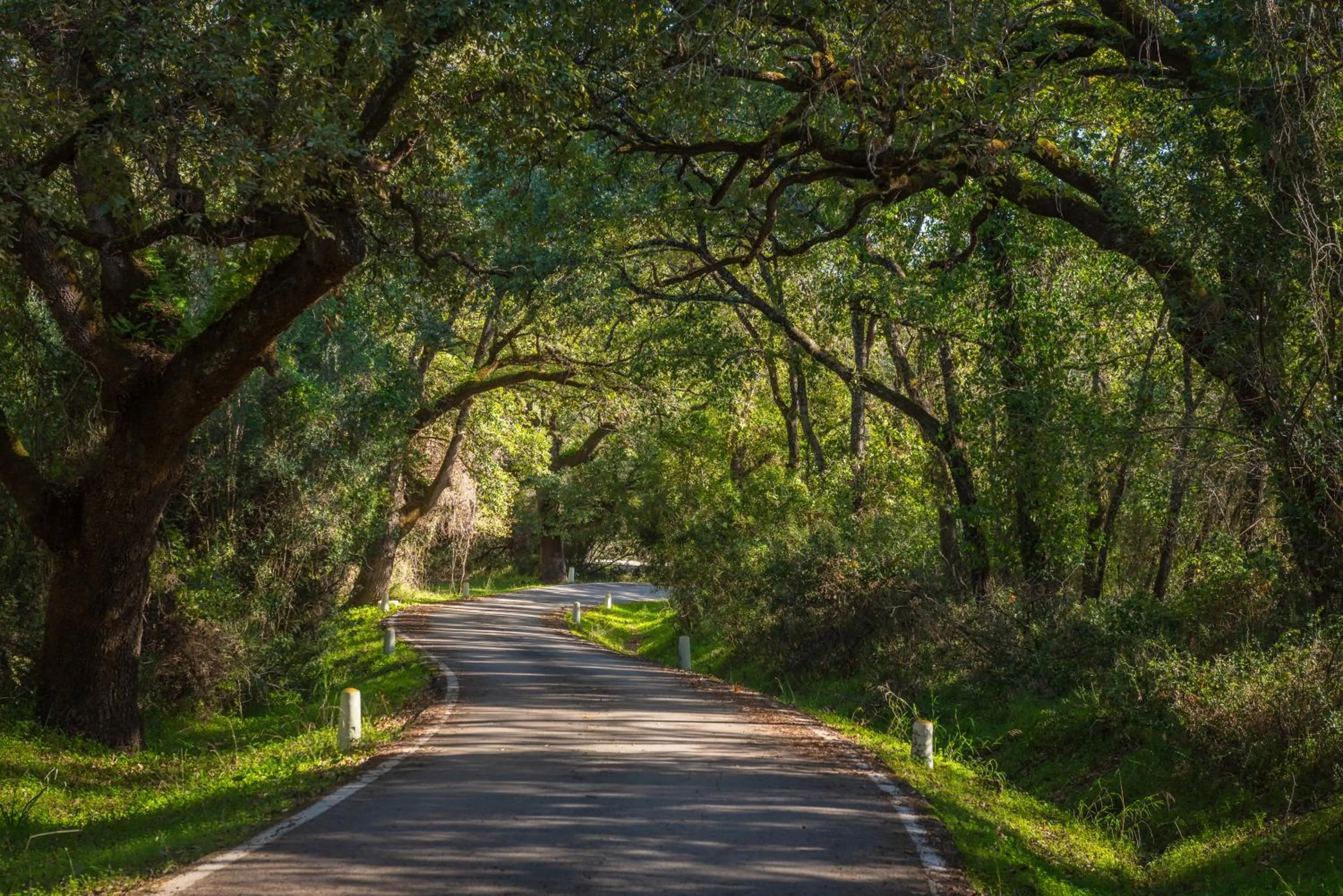 Off site in La Almoraima Hotel