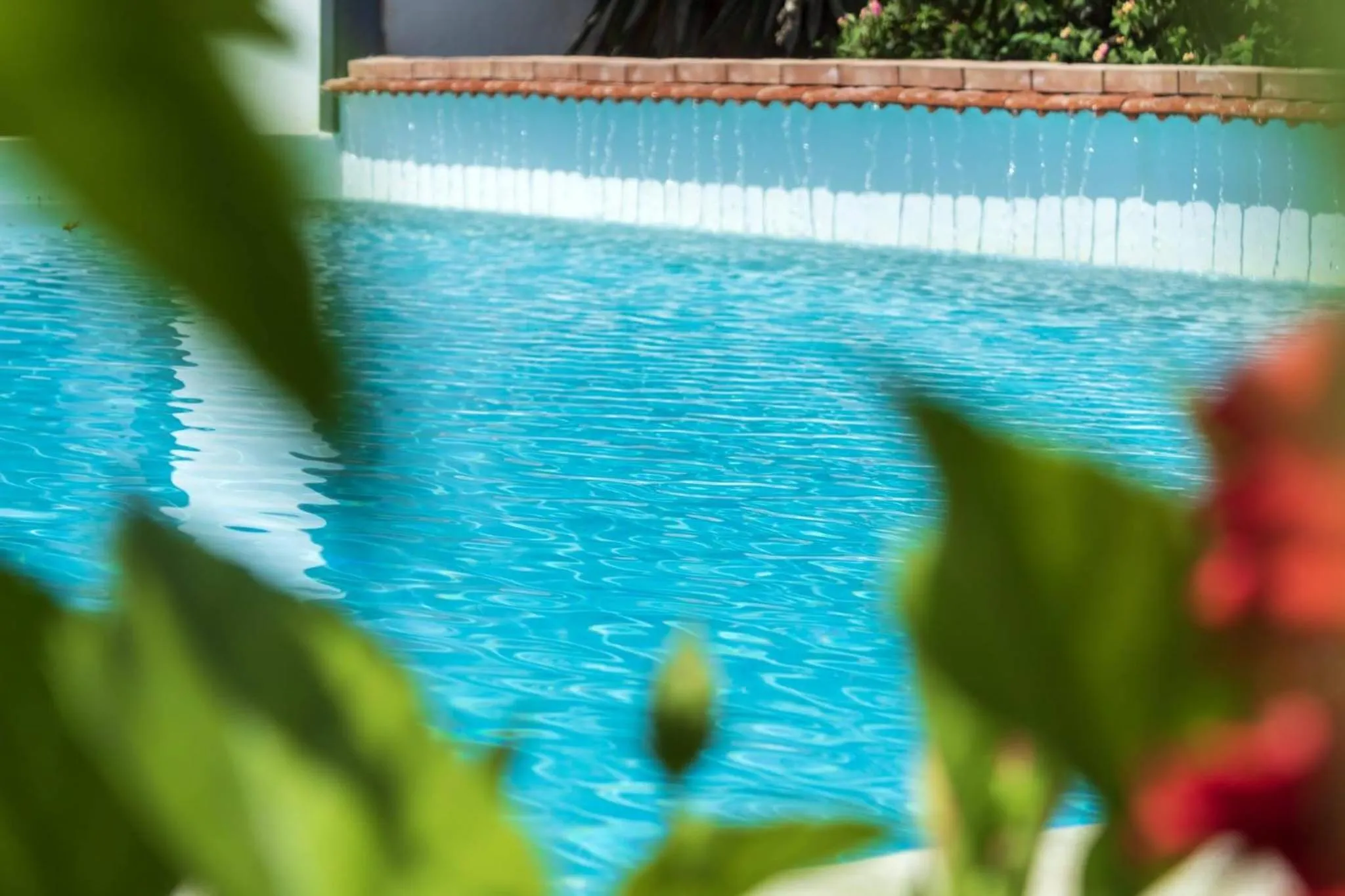 Swimming pool in bolinajazz