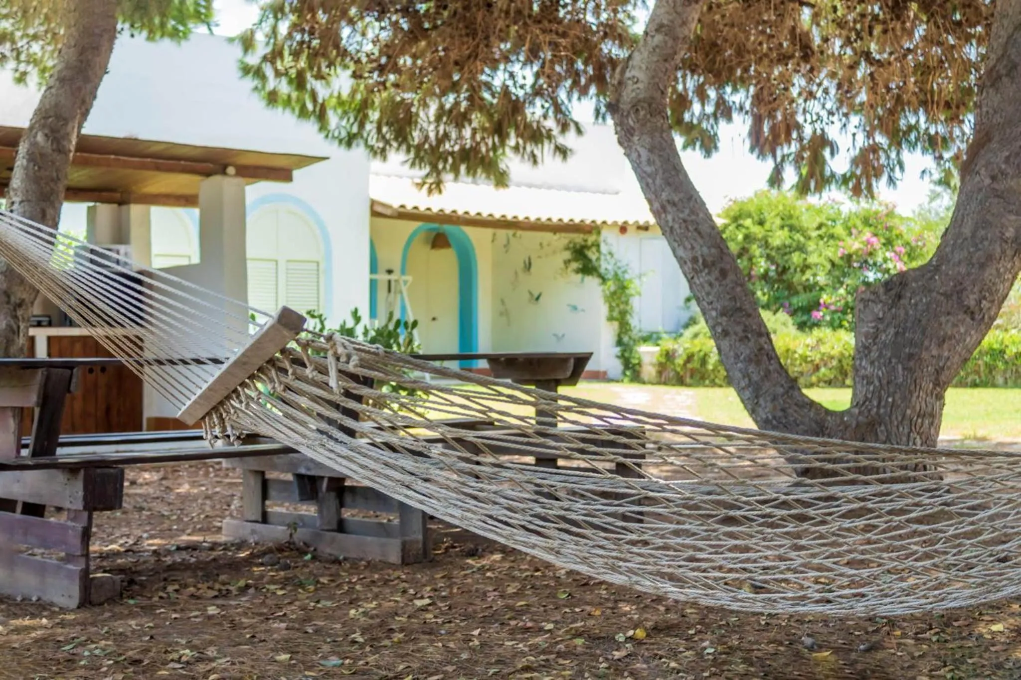 Garden in bolinajazz